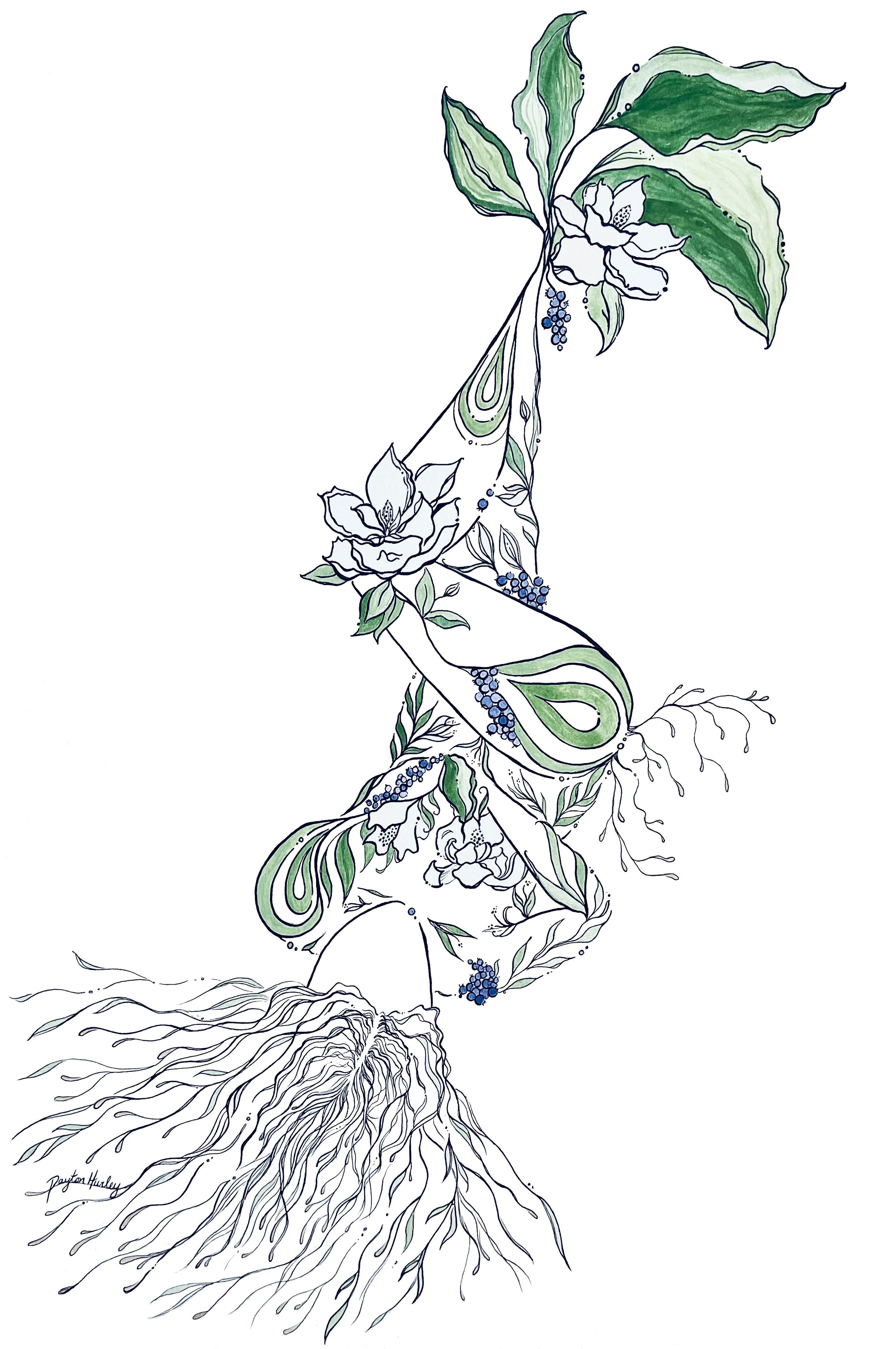 The Magnolia Woman