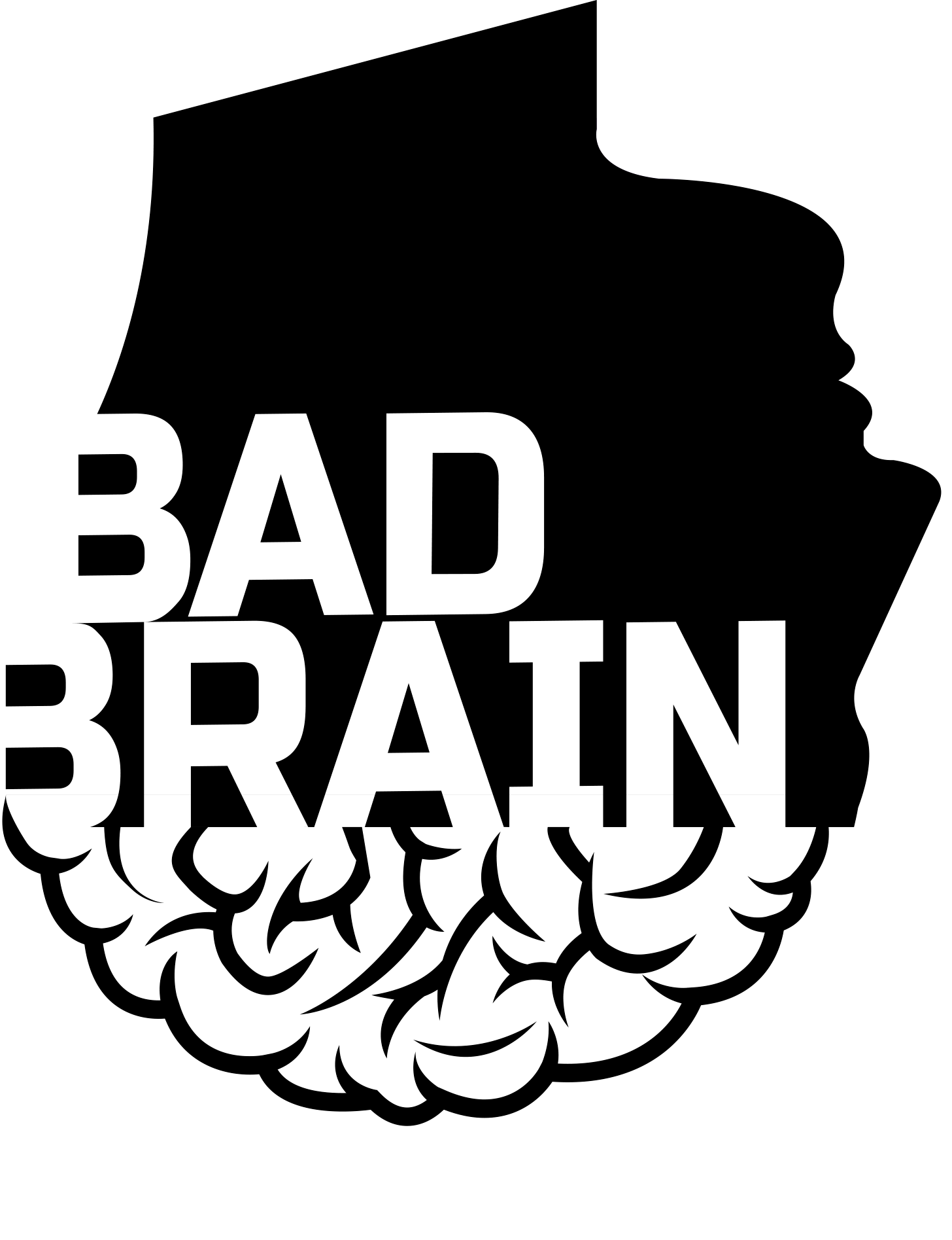 Bad Brain Digital Consulting
