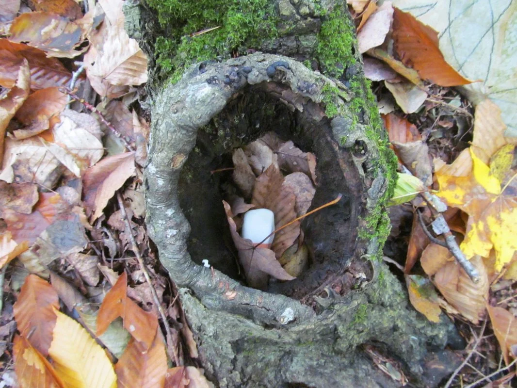 Watershed Gem2.jpg