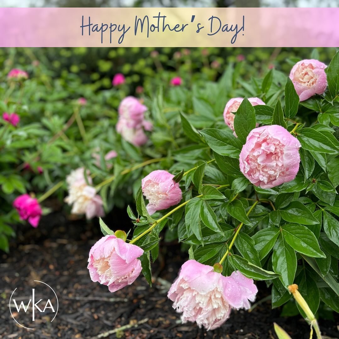 Happy Mother&rsquo;s Day! #mother #motherhood #mothersday #knoxville