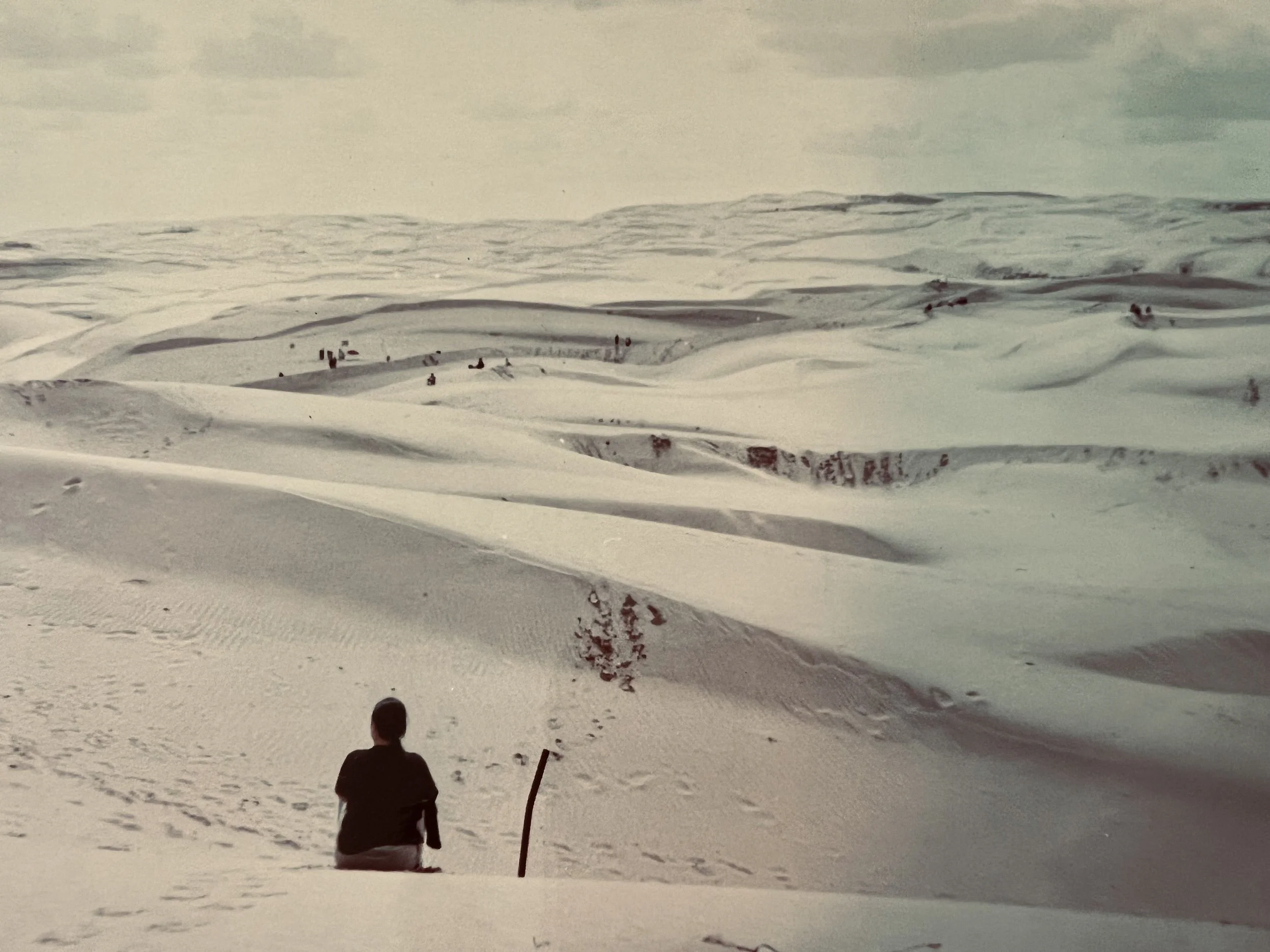 Taking Flight and Finding Identity