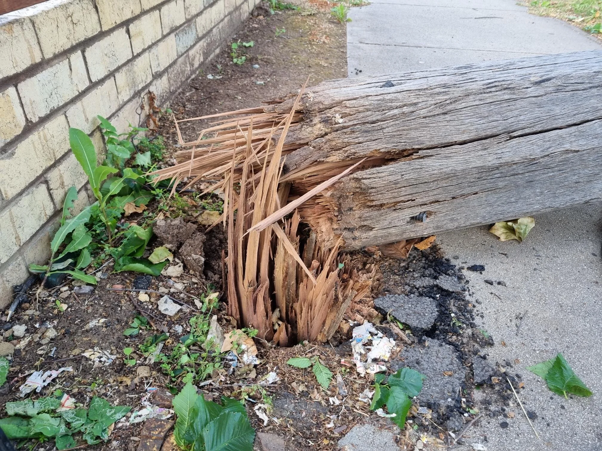 Destructive testing a factor in Pole Failure