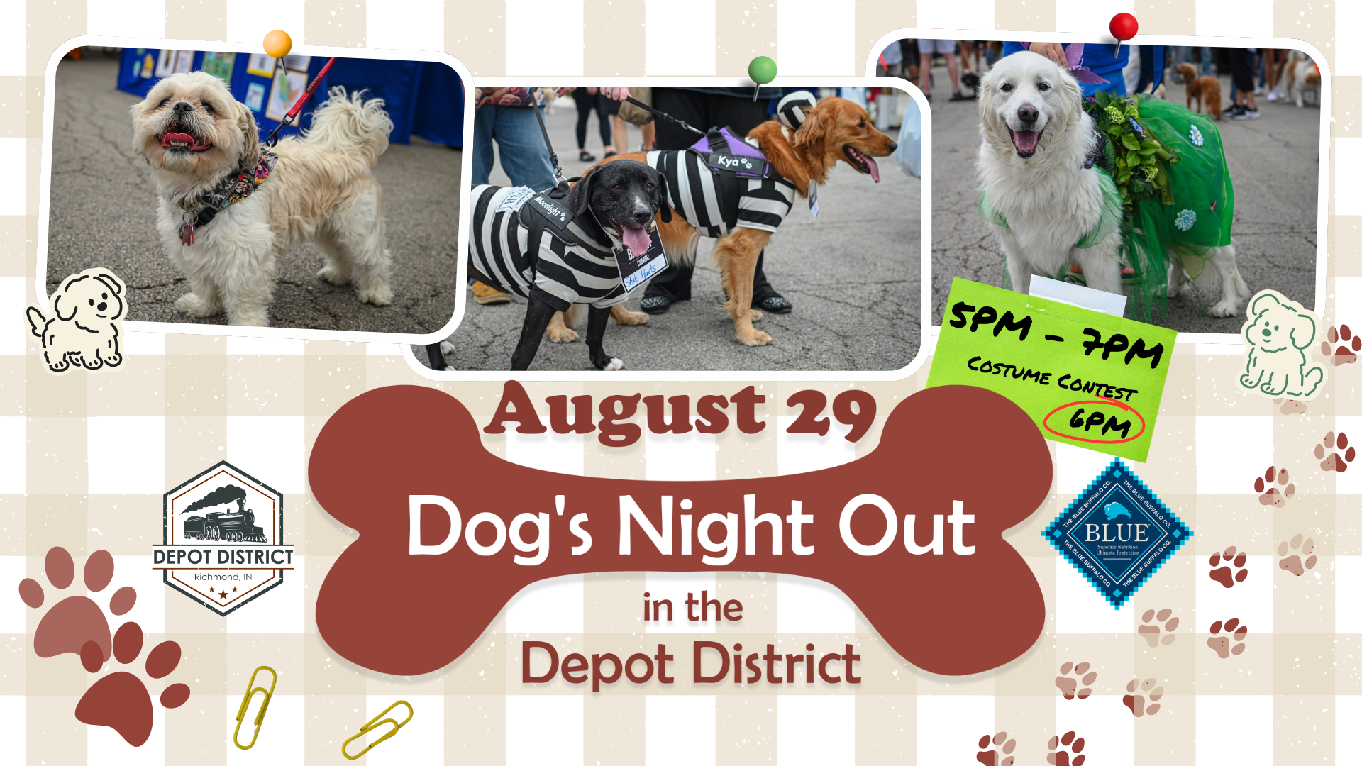Dog’s Night Out