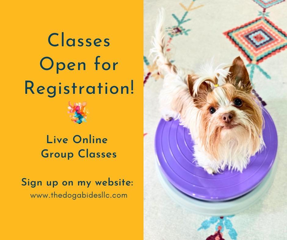 Registration for live online classes is open! Coralie is ready to assist Fit Dog class!

All classes live and online via Zoom. 

6️⃣ Fit Dog 1 | 6 Weeks 

5️⃣ Teach Your Dog to Paint | 5 Weeks 

1️⃣ Sparkle Session: Circle Handler 

For more details 