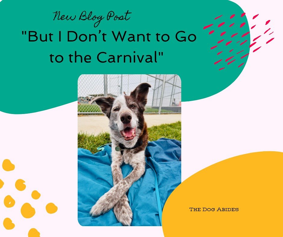 New blog post alert! I&rsquo;ve been working on this one for a long time. 

&ldquo;Tycho is comfortable and happy almost everywhere he goes. But, even though Tycho may have been comfortable with piecemeal features of that environment, I don&rsquo;t t