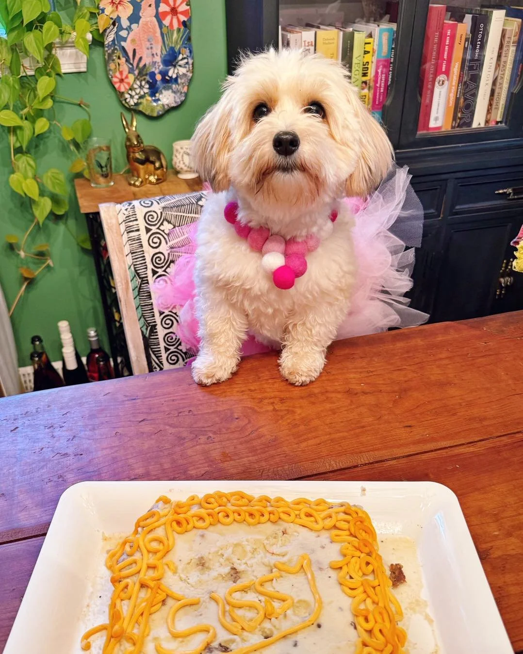 Yesterday was Sissy Champagne&rsquo;s 6th birthday! She had a big day on Sunday, and I fell asleep last night before I got to post her birthday photo. We all love you so much, Sissy! I&rsquo;m excited to see what this year will bring for you and the 