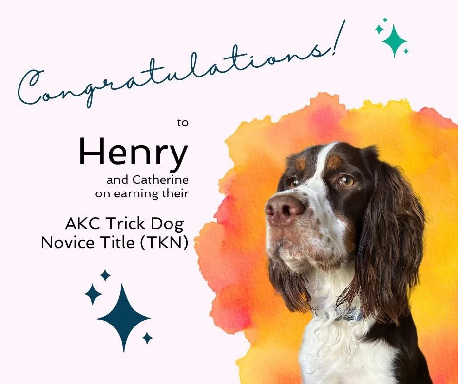Please join in me in congratulating Henry and his person, Catherine, on earning their AKC Trick Dog Novice title! 

Of all of the tricks that Henry performed, his &ldquo;Sepak&rdquo; trick was my favorite. When cued to speak, Henry lets out the softe