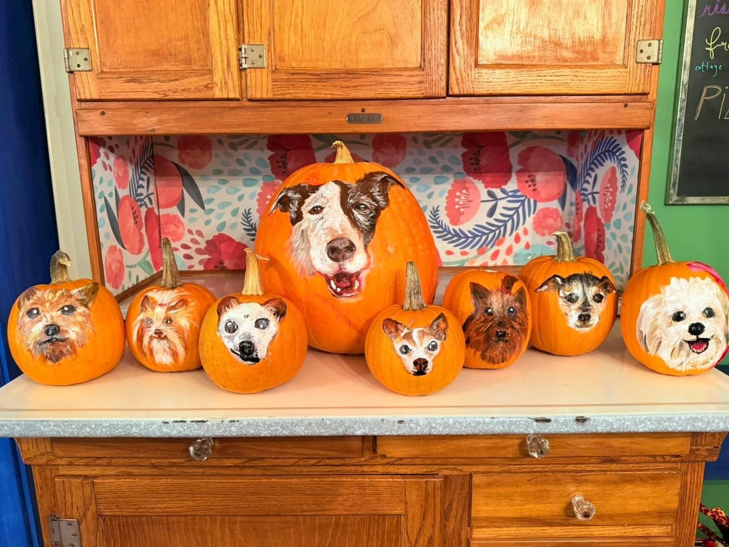 Autumn is in full swing here! My pumpkin patches yielded 80 pumpkins. Last weekend, on a whim, I decided to paint portraits of our dogs on some of them. I might have to steal one of Tycho&rsquo;s canvases and try painting on something other than vege