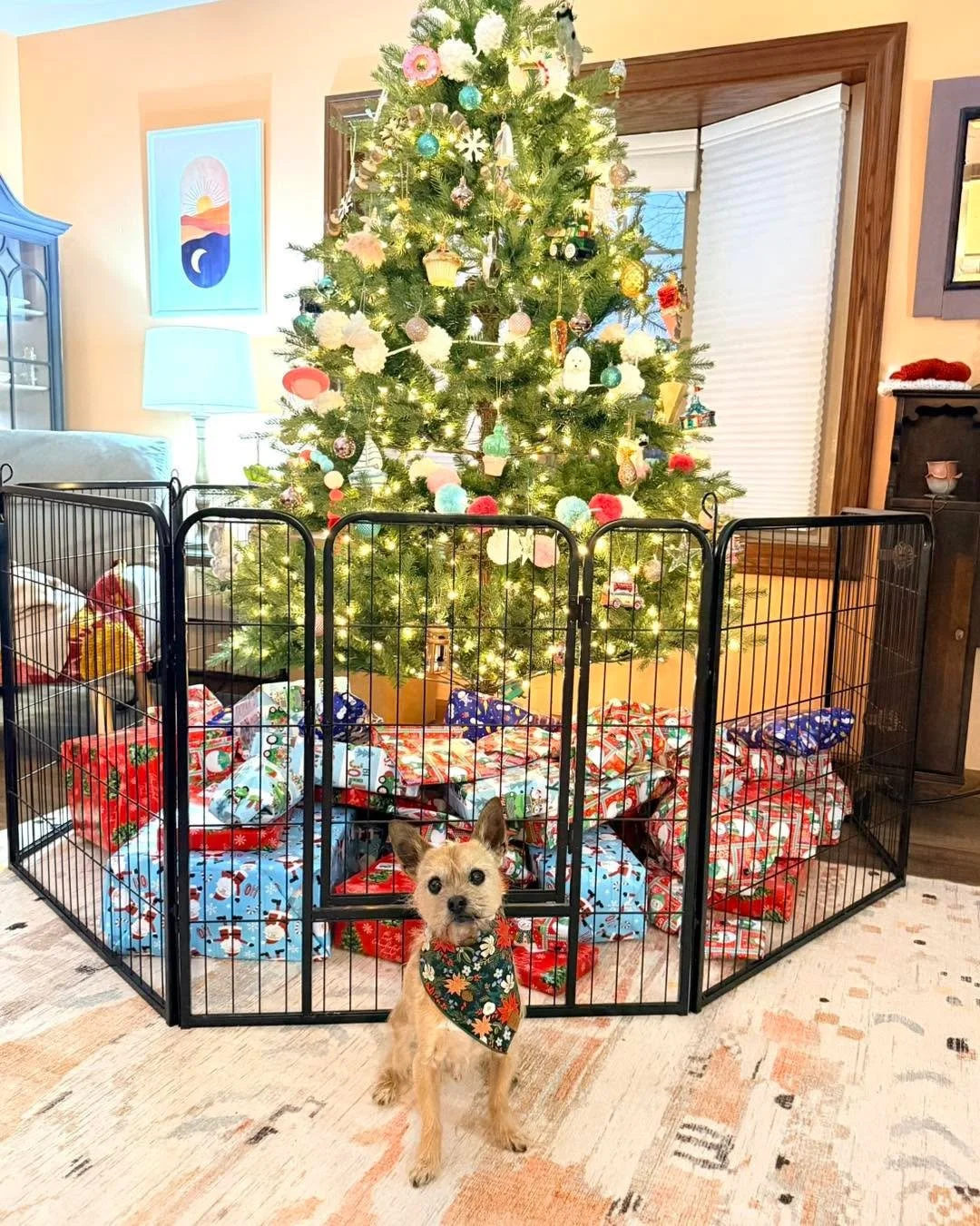 Why, yes, this is how a professional dog trainer decorates her Christmas tree! Corralling the tree is a treasured holiday tradition in our home. 

The tree corral relieves me from supervising the dogs&rsquo; interactions with the tree. I don&rsquo;t 