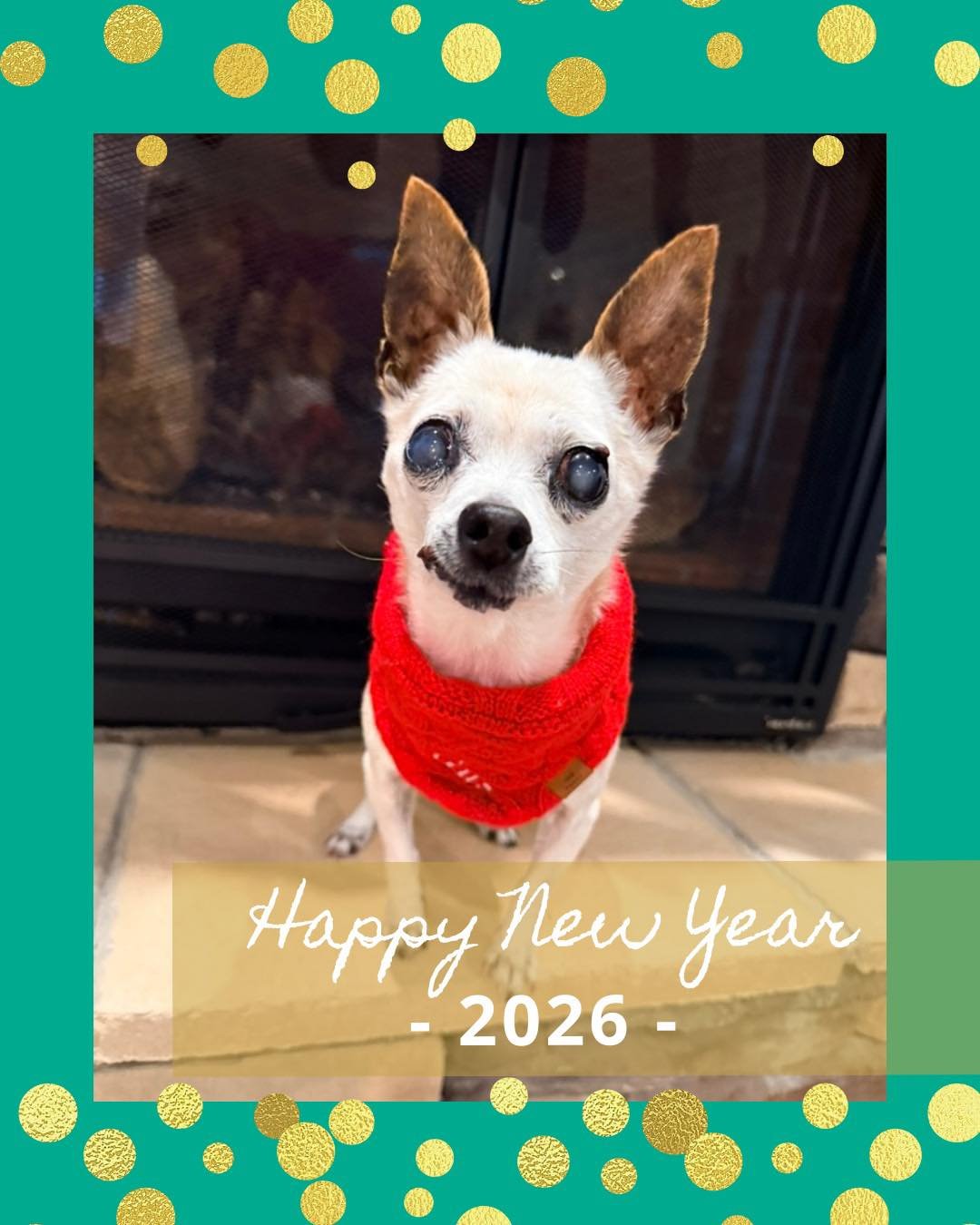 Happy New Year! 

When I think about 2026 and all that it might become, one word that keeps coming up for me is &ldquo;more.&rdquo; 

I&rsquo;m excited for more consistent scheduling, even as I work two jobs. I&rsquo;m motivated to get more comfortab