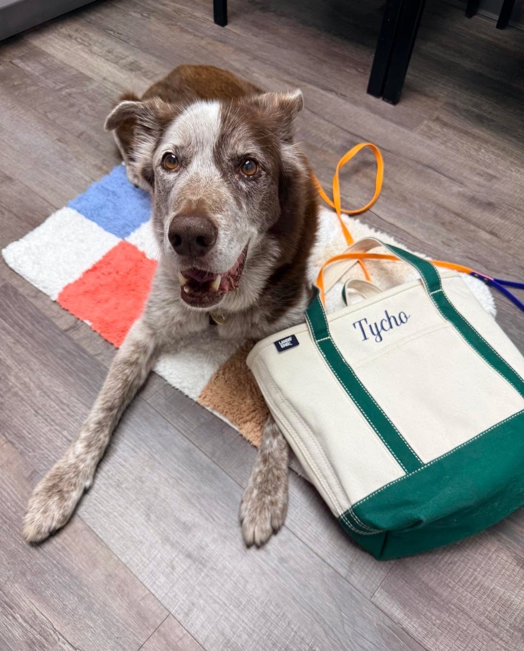 I&rsquo;ve shared about my tote bag system before, but it&rsquo;s worth a new post! 

Tycho is a senior (he&rsquo;s 12 years and 209 days old!) , which means wellness visits  to his wonderful veterinarian every six months. His personalized bag gets p