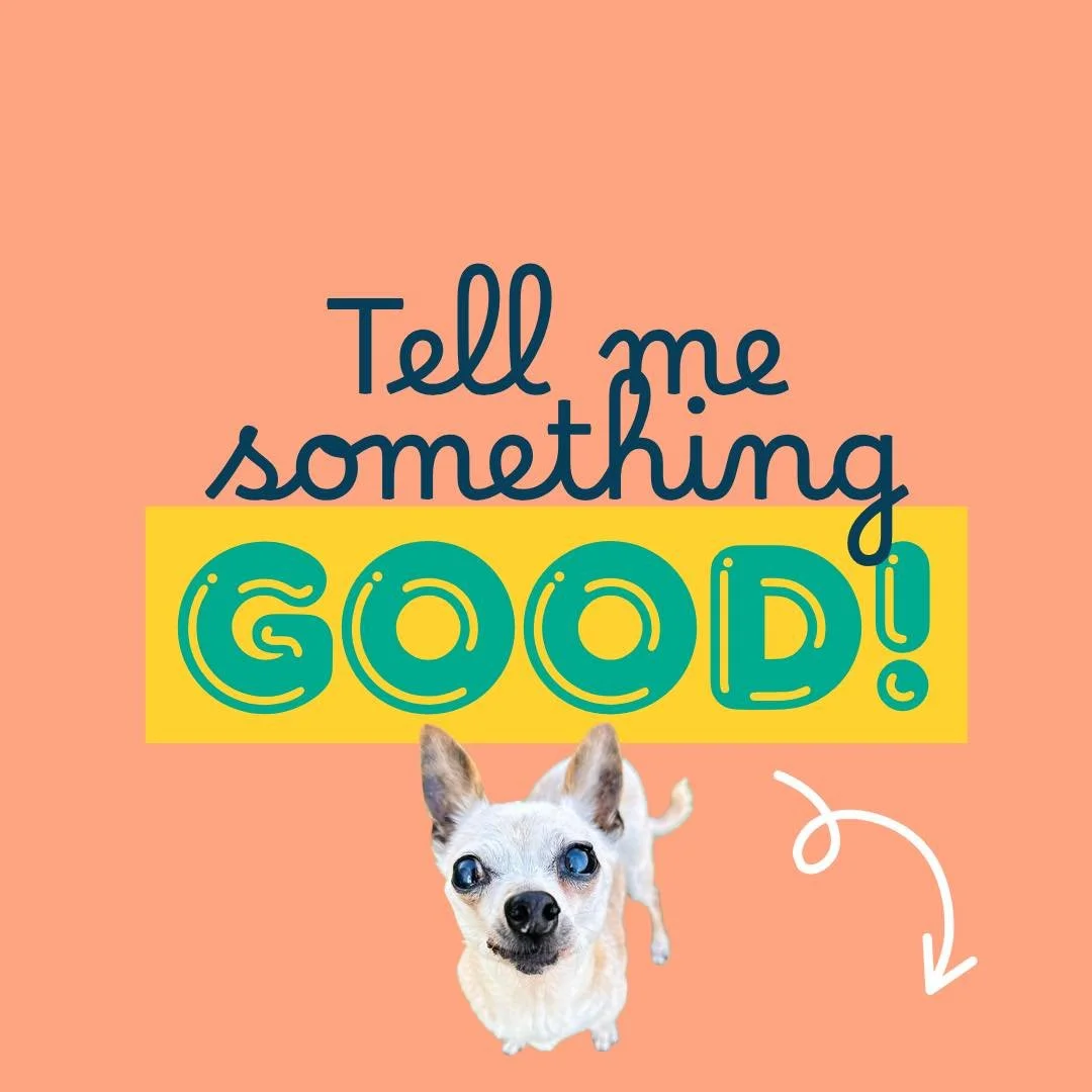 What&rsquo;s one little win you&rsquo;ve had recently? It can be dog-related or otherwise. I want to hear some good stuff! 

I&rsquo;ll start! I recently shared some videos of my dogs playing with an amazing colleague in Australia for a shelter prese