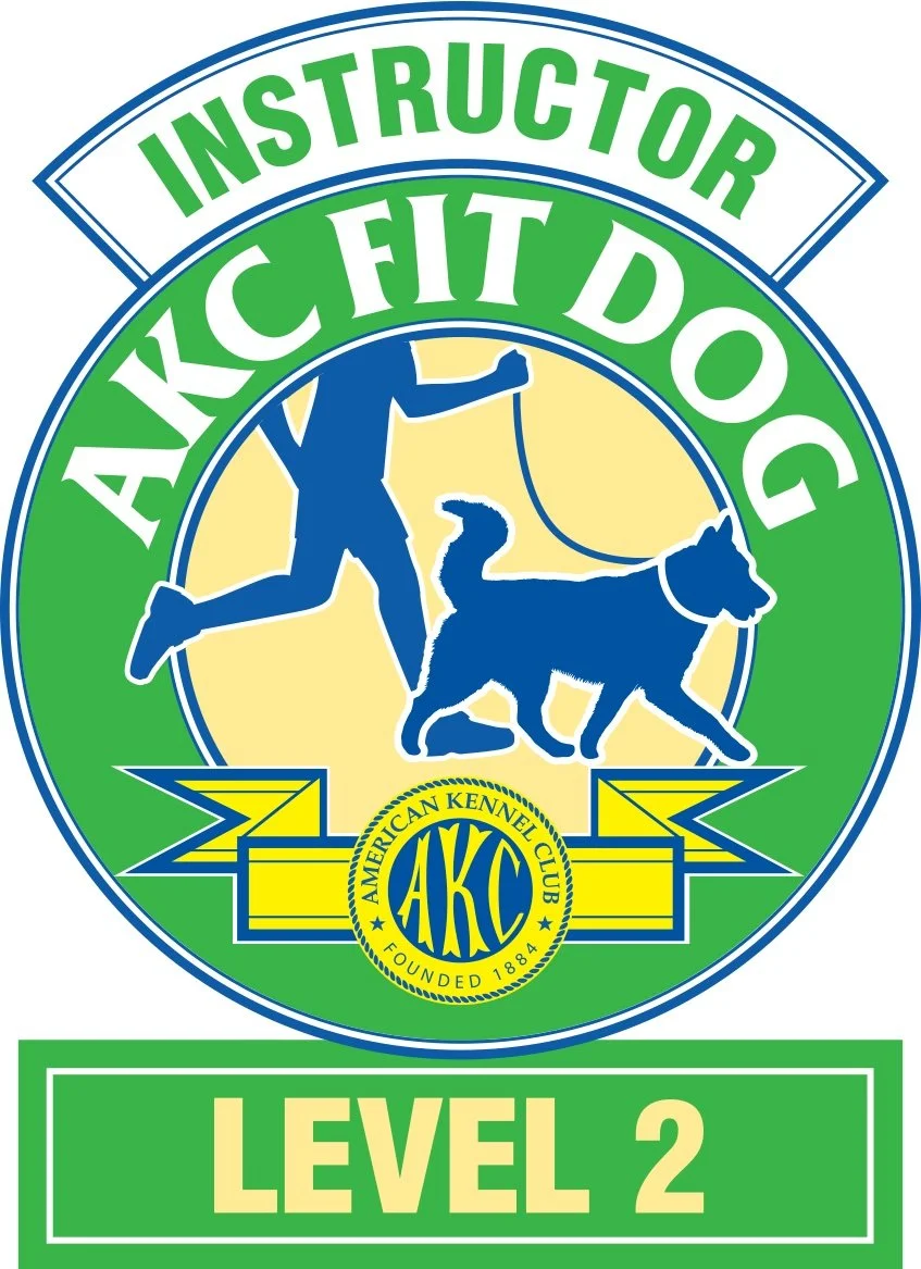 AKC FIT DOG Level 2 Instructor