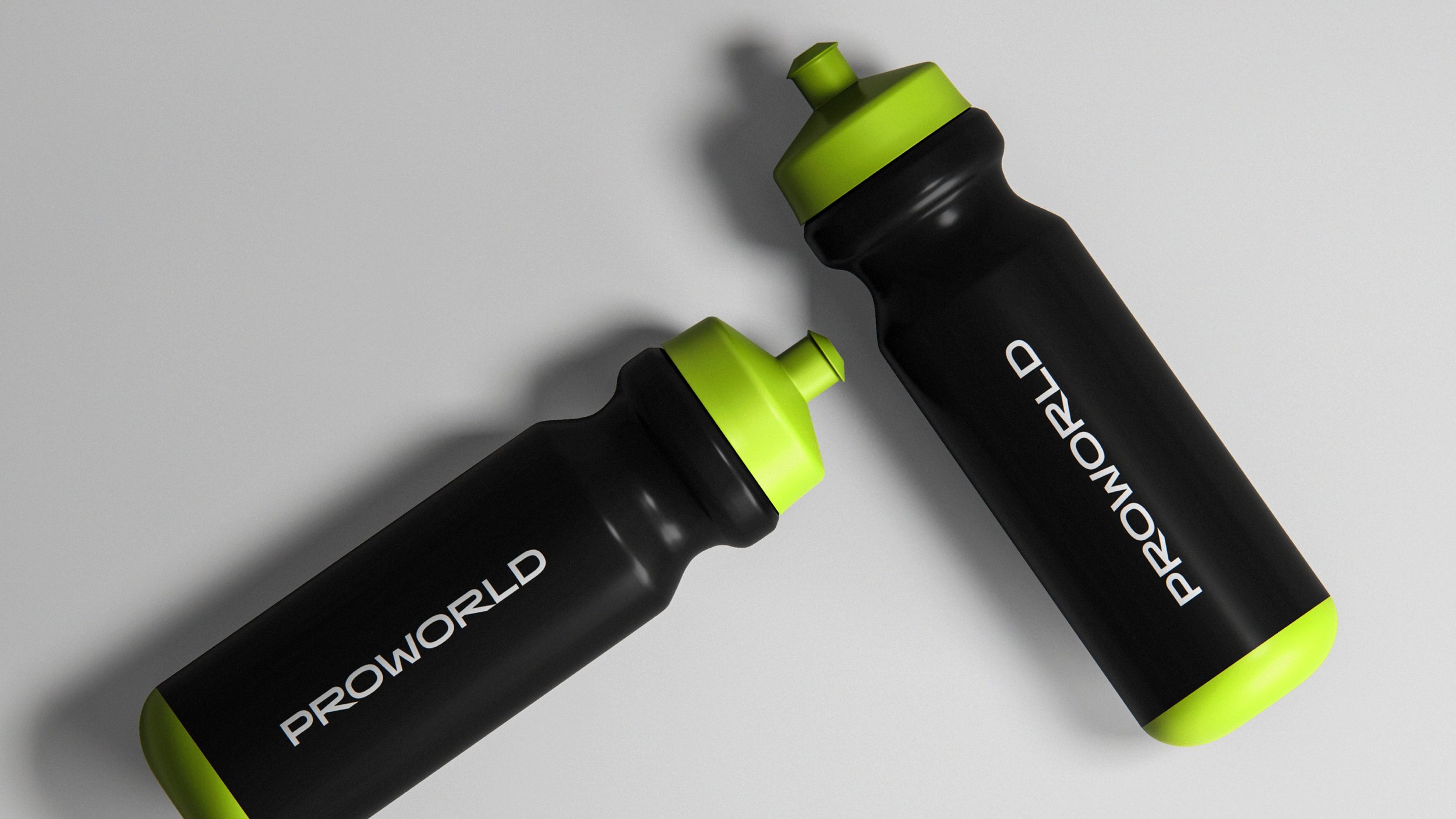 Brandbook PROWORLD FINAL-52.jpg
