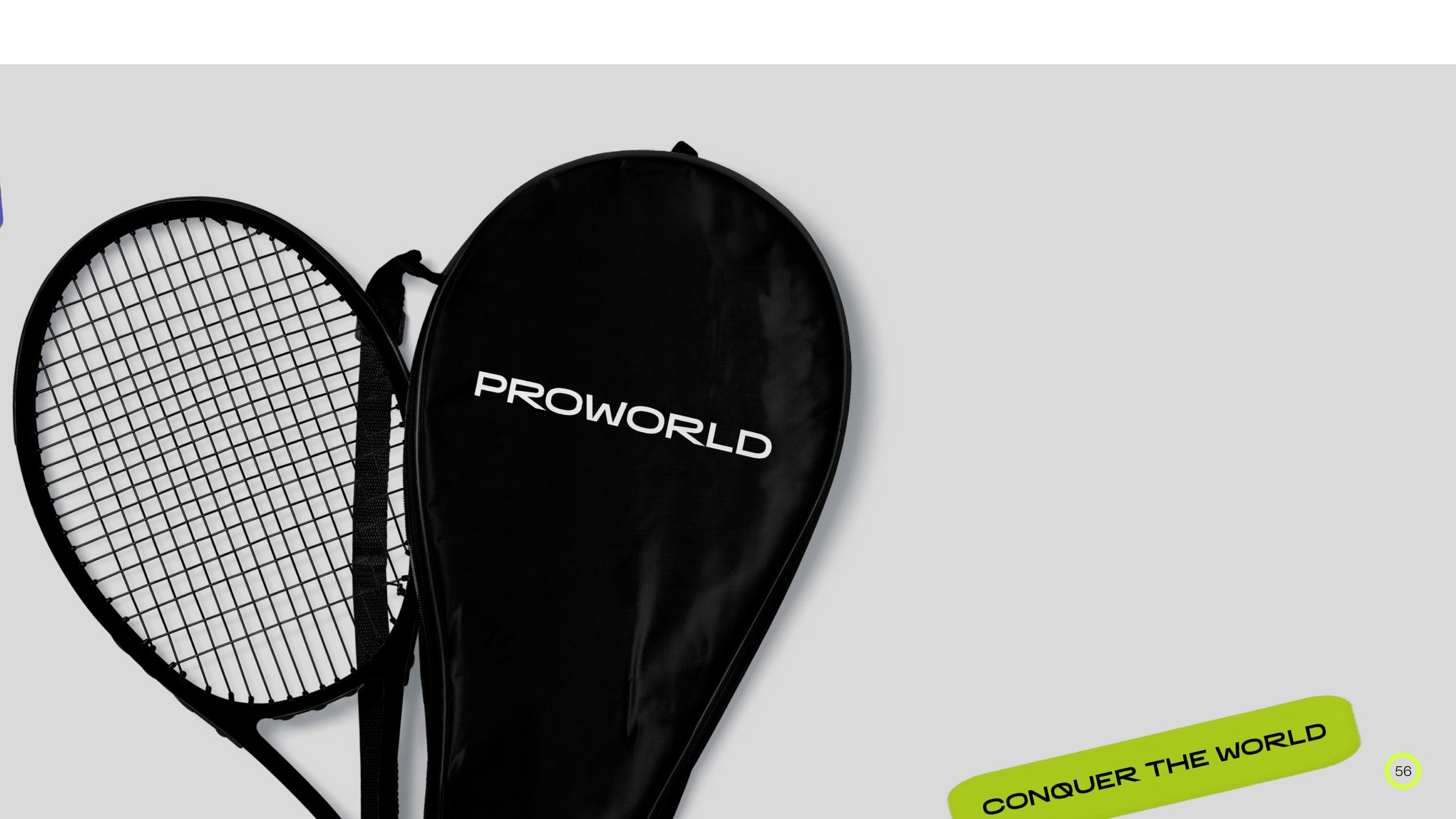 Brandbook PROWORLD FINAL-56.jpg