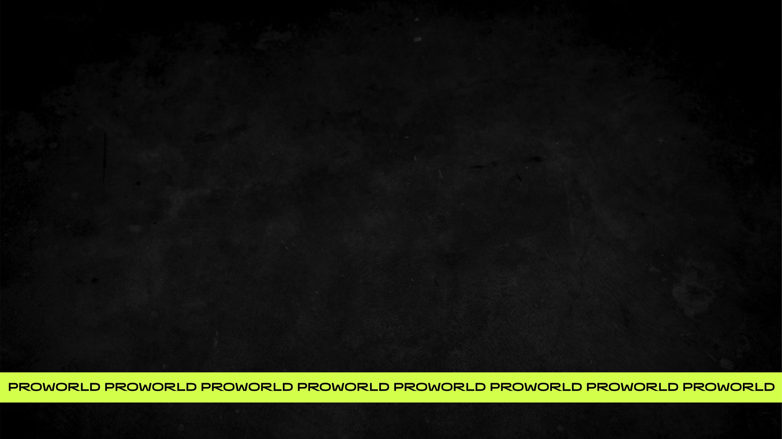 Brandbook PROWORLD FINAL-24.jpg