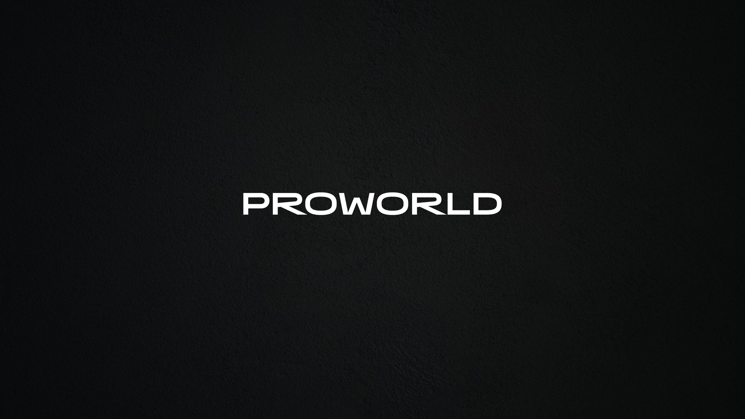 Brandbook PROWORLD FINAL-01.jpg