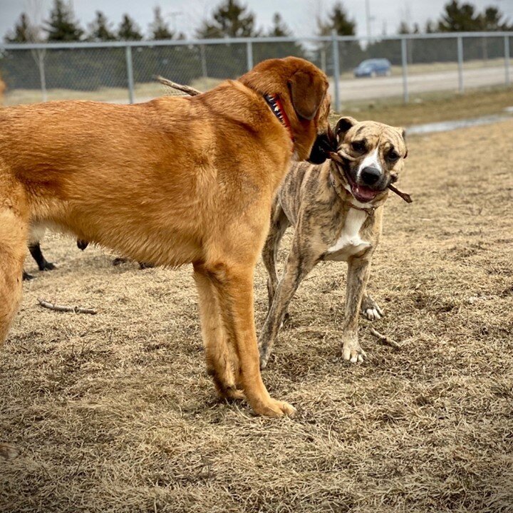 The old &ldquo;stick share&rdquo; bonding.
Watch out, folks!