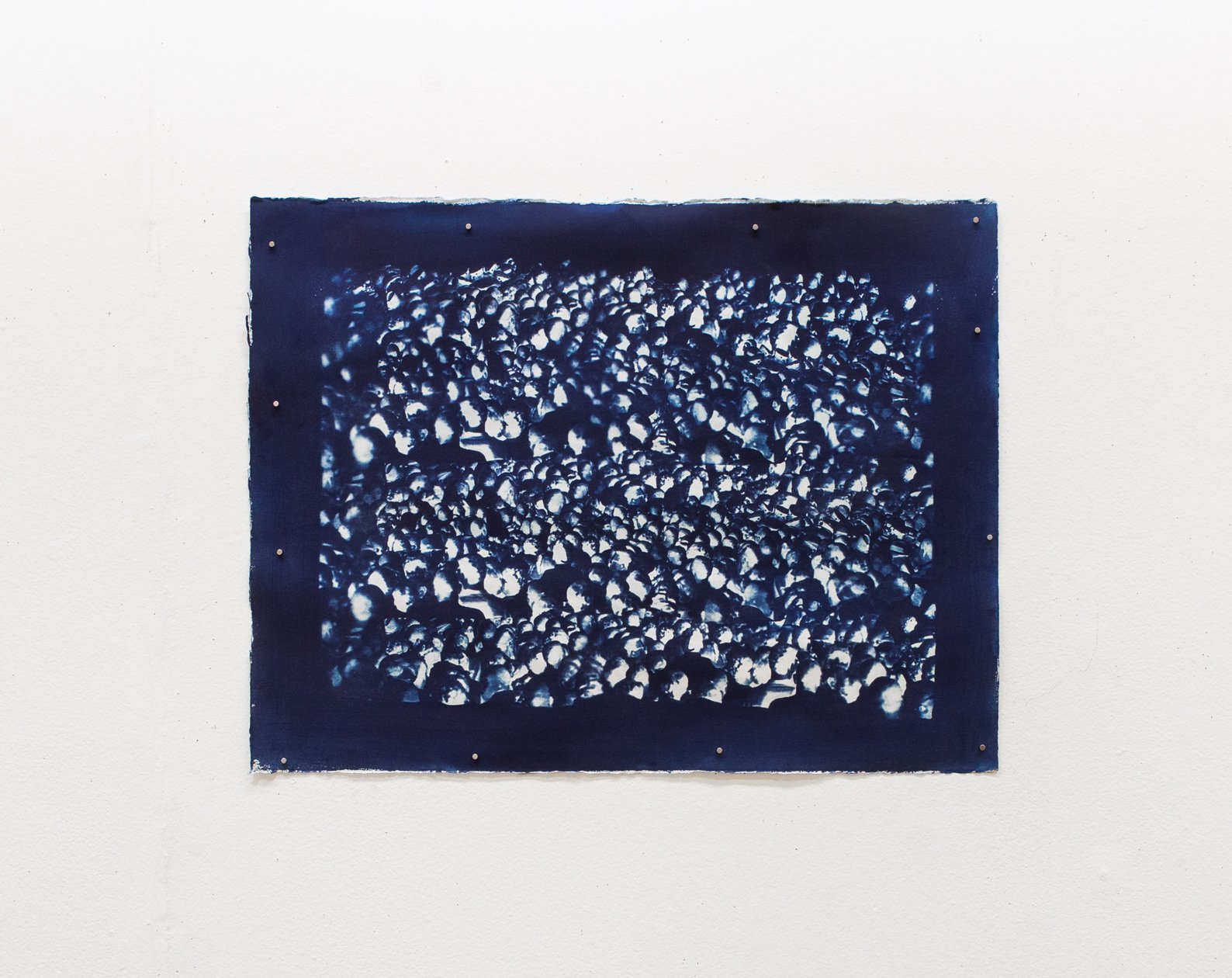 reverence
cyanotype
33.5” x 26”
Image Source: John W Mosley, Charles L. Blockson Afro-American Collection, Temple University Libraries, 1965