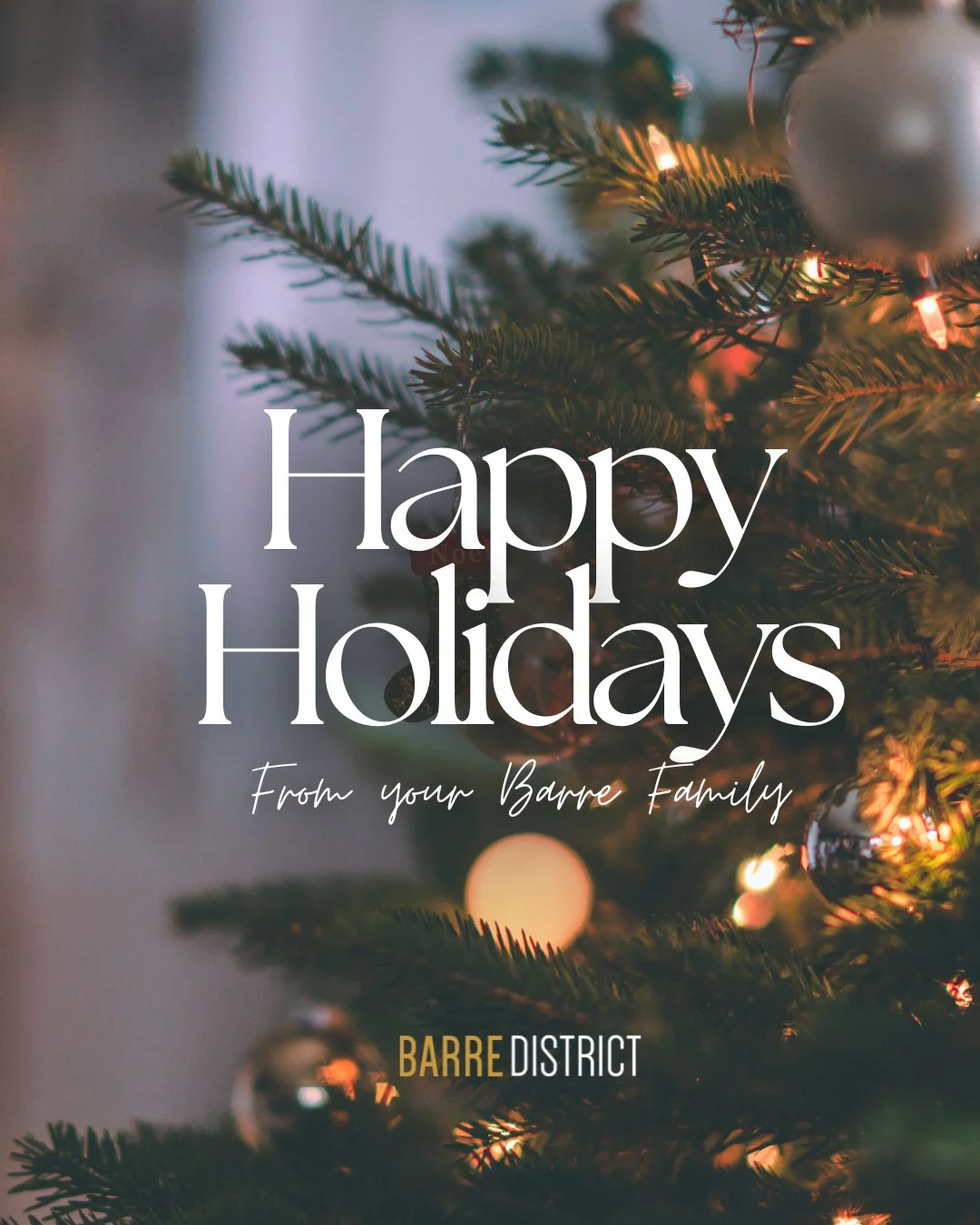 Happy Holidays Barre Family! 🎄Wishing you all a safe and cozy season filled with love and cheer.❄️❤️