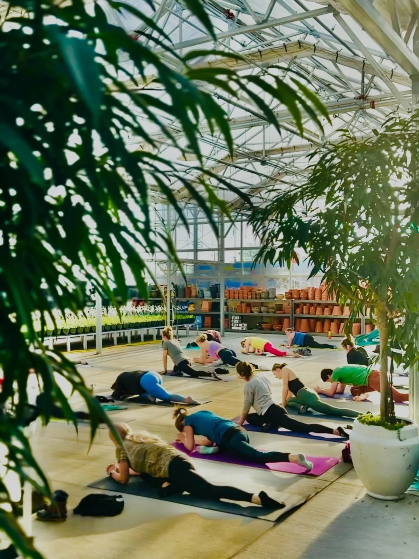 Join us for another trip to the greenhouse! 🌵🌻🌷

Greenhouse classes are back this January at Kleins. 🌷🌻☀️Classes are $25 and include a succulent you can take home with you! Both barre classes are in the greenhouse, so you will get your sweats an