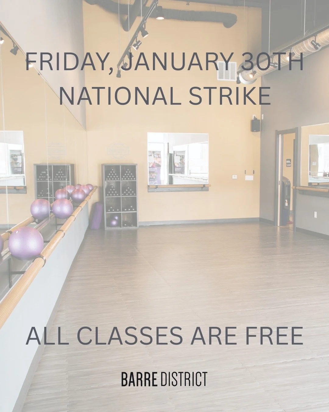 In honor of the National Strike on Friday, January 30th and in solidarity with our neighbors in Minnesota and across the country, we are holding FREE classes for anyone to attend. 

In collaboration with our instructors, we have decided to hold a pla