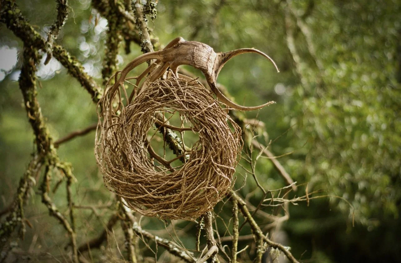ALMOST SOLD OUT Sculptural Weavings: Co-designing with nature with Sarah Norton 7th Dec