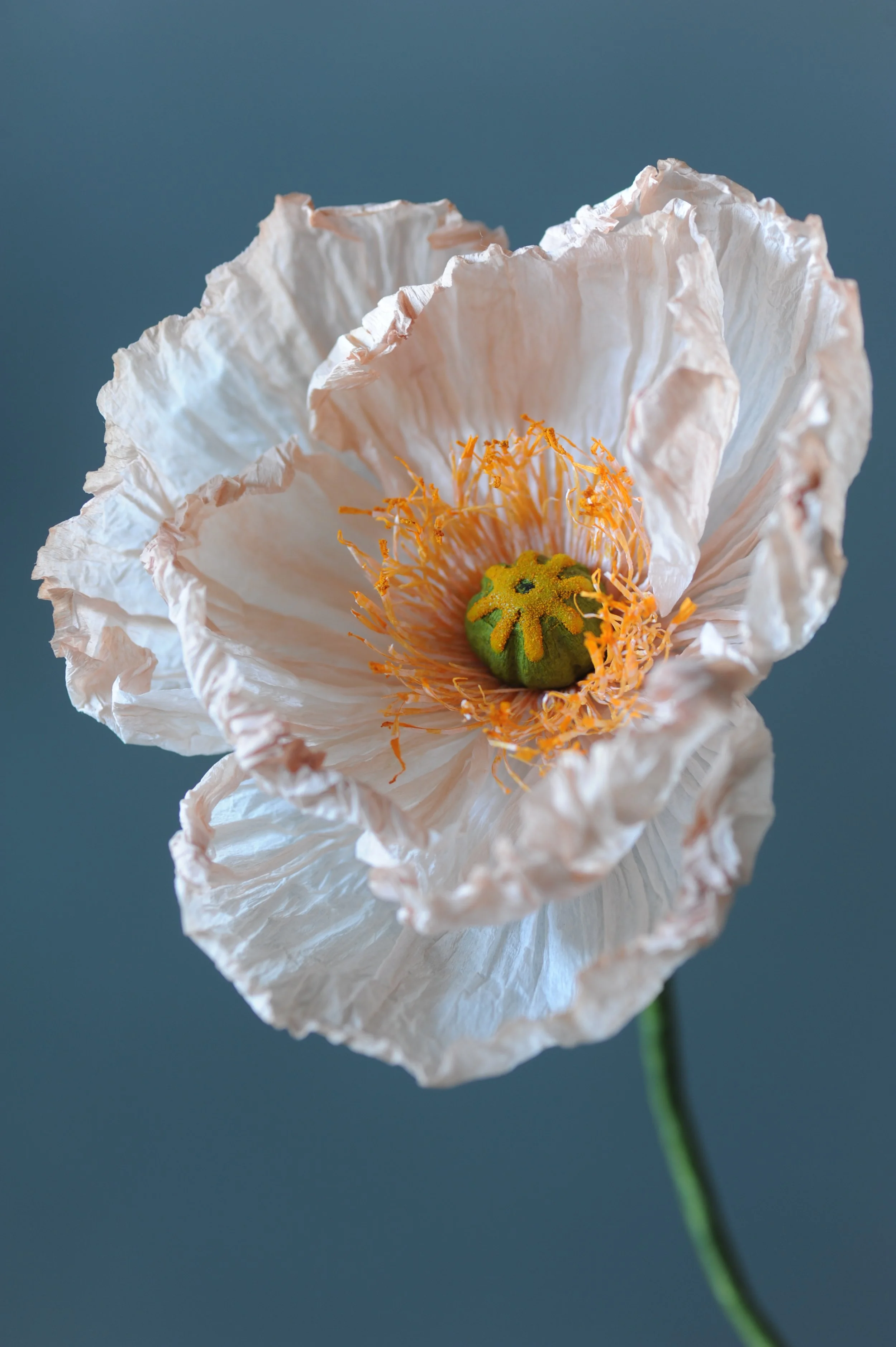 The SOLD OUT - Paper Primrose Flower Making Workshop with Trixie Primrose 19th August 10 til 2pm