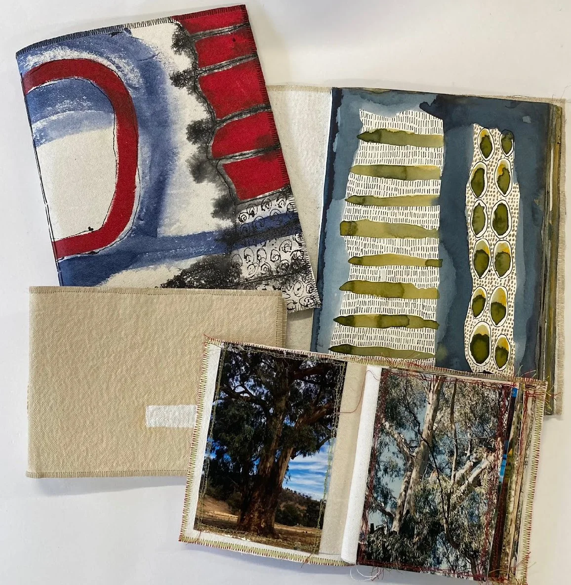 Create your own Canvas Covered Sketchbook with Sue Wood @Paddocknotes 21st Nov 10 - 3.30pm