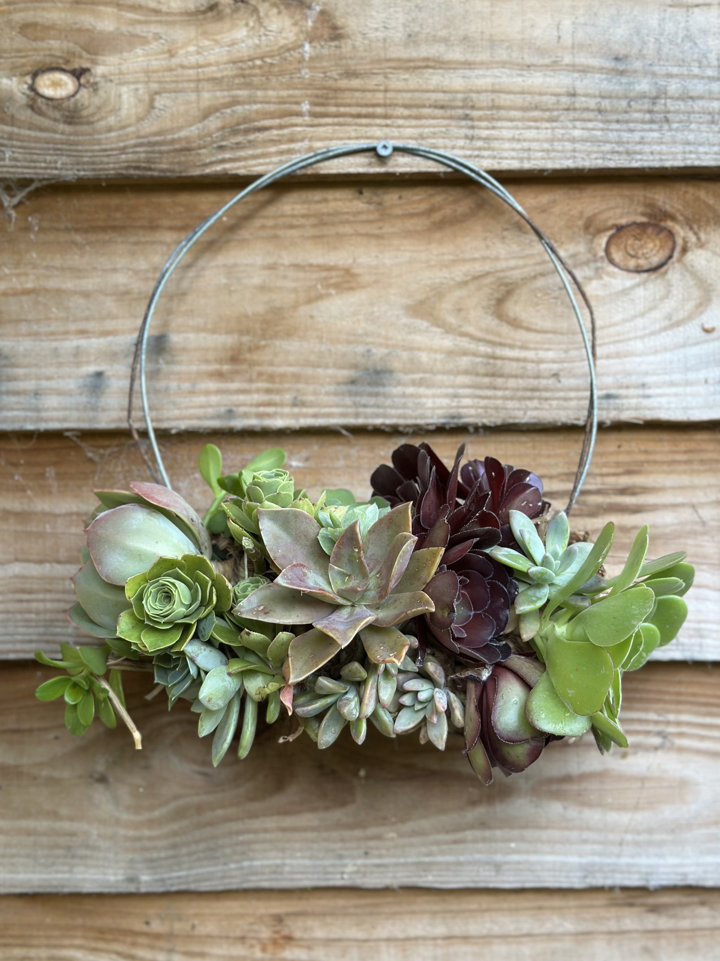 Botanical Wreaths with Dominika Keller 25th May 10 til 2pm