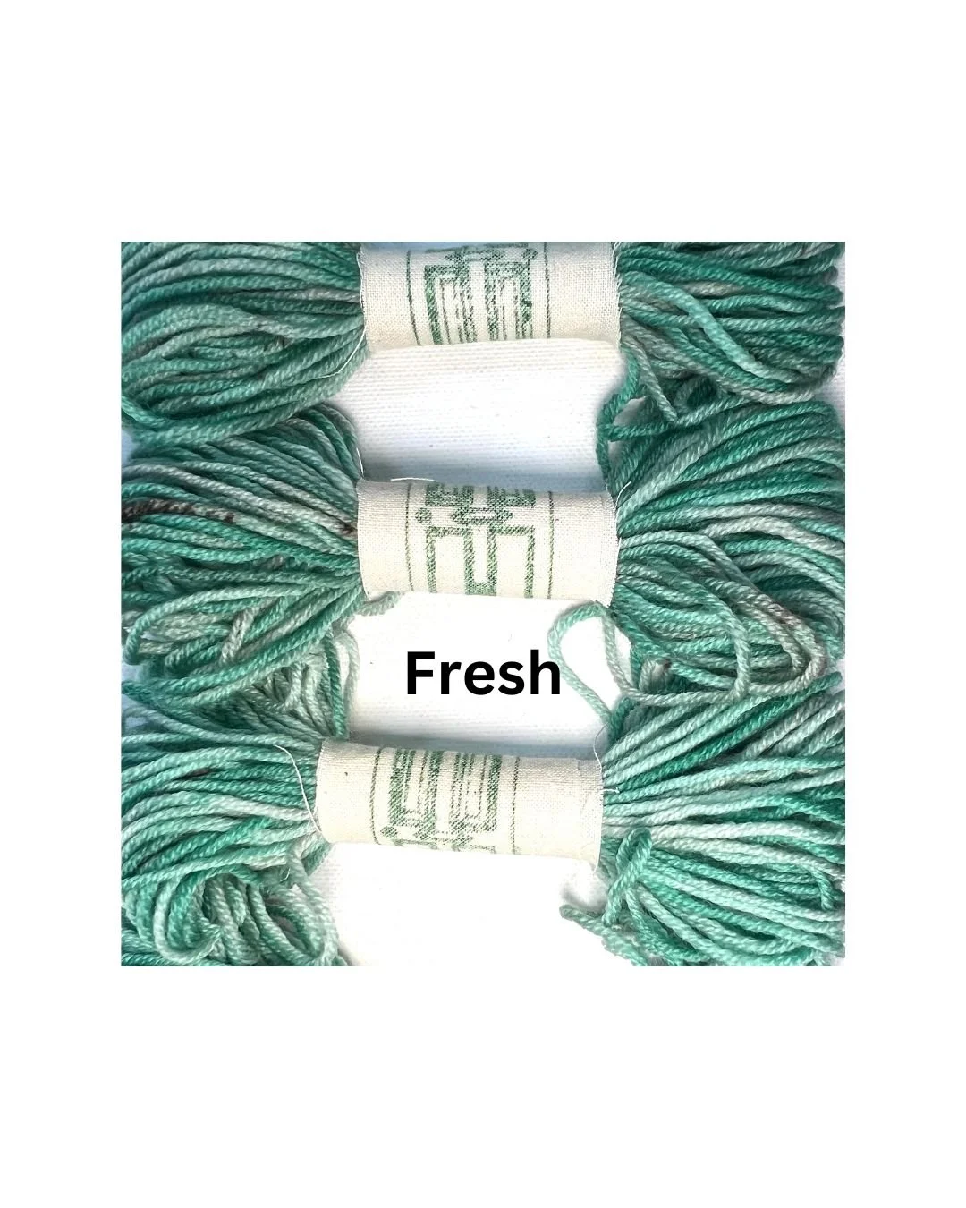 Fresh.jpg