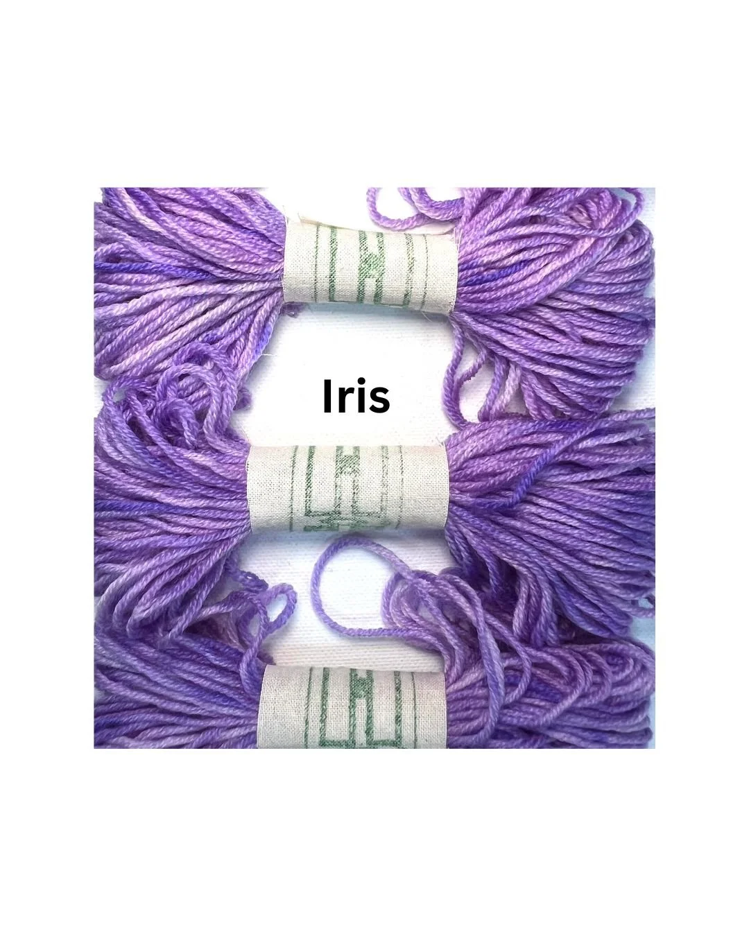 Iris.jpg
