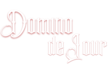 Domino de Jour, burlesque artist, mentor, producer