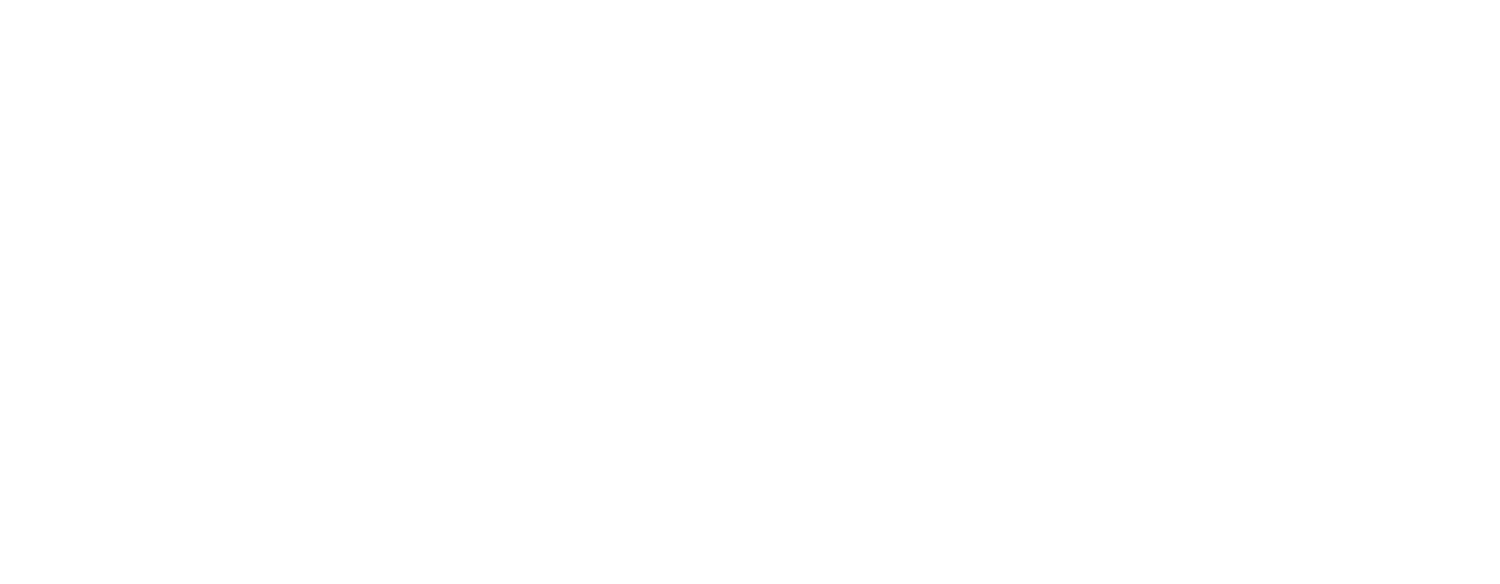 LAPIX