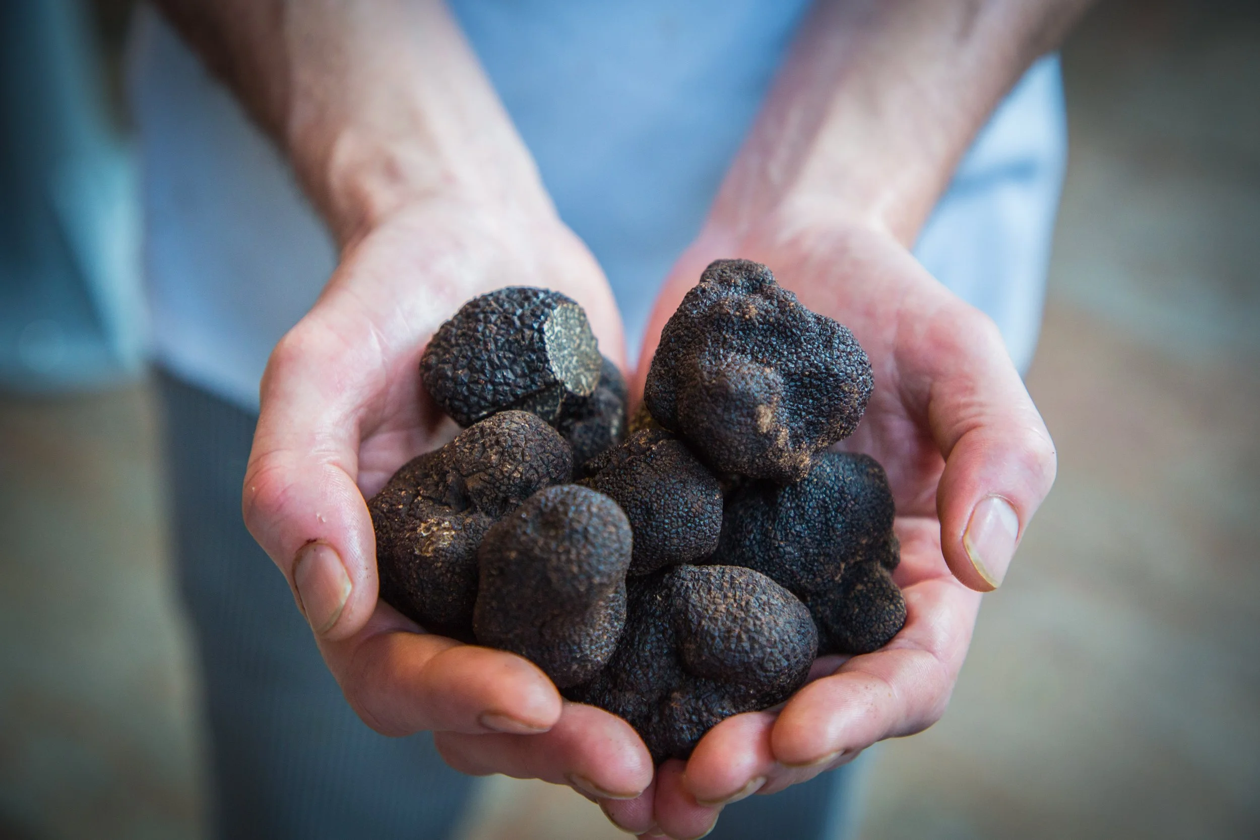 Truffles.JPG