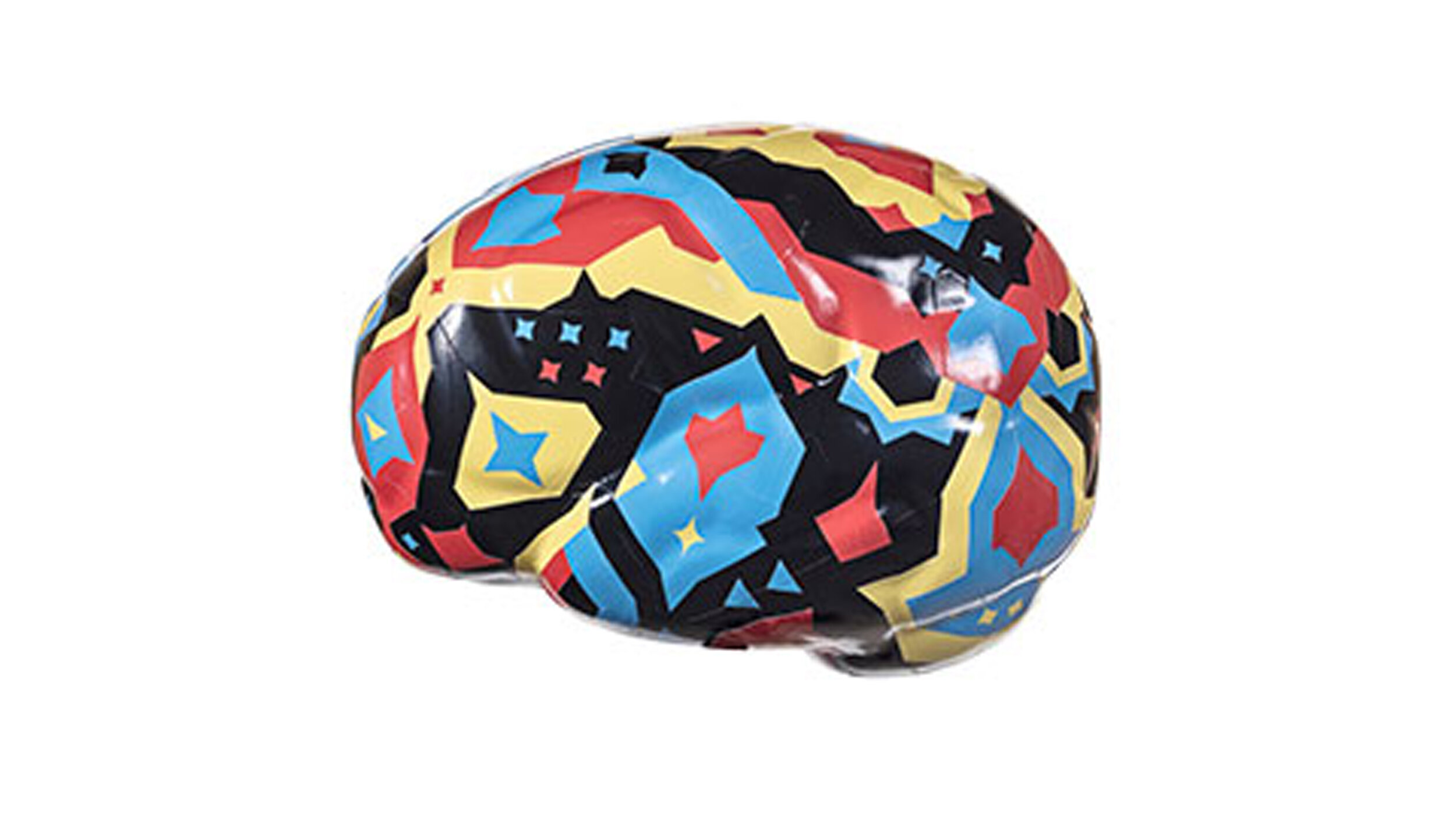 THE BRAIN PROJECT