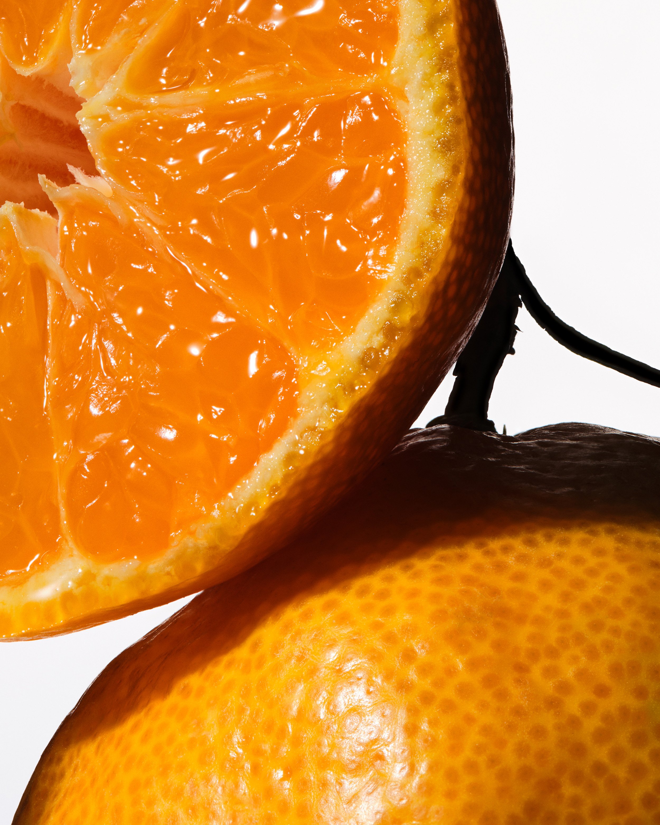 25-11 3402-05A RKKY_SPG INGREDIENT MACRO TANGERINE_QC_SRGB300.jpg