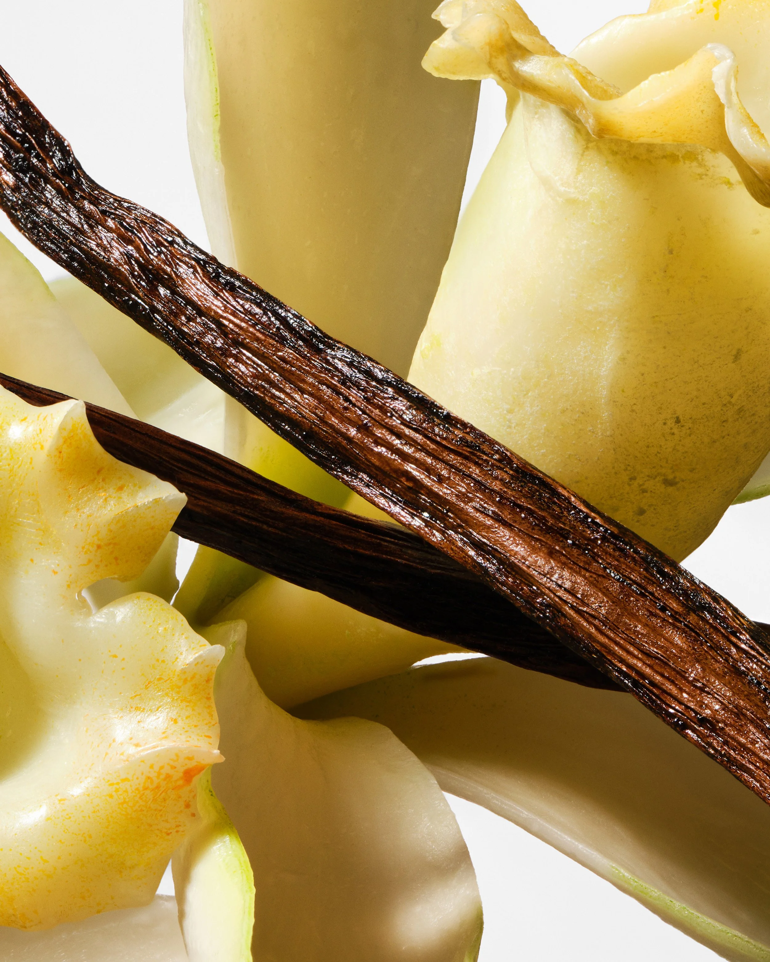 25-11 3402-07A RKKY_SPG INGREDIENT MACRO VANILLA ORCHID_SRGB300.jpg