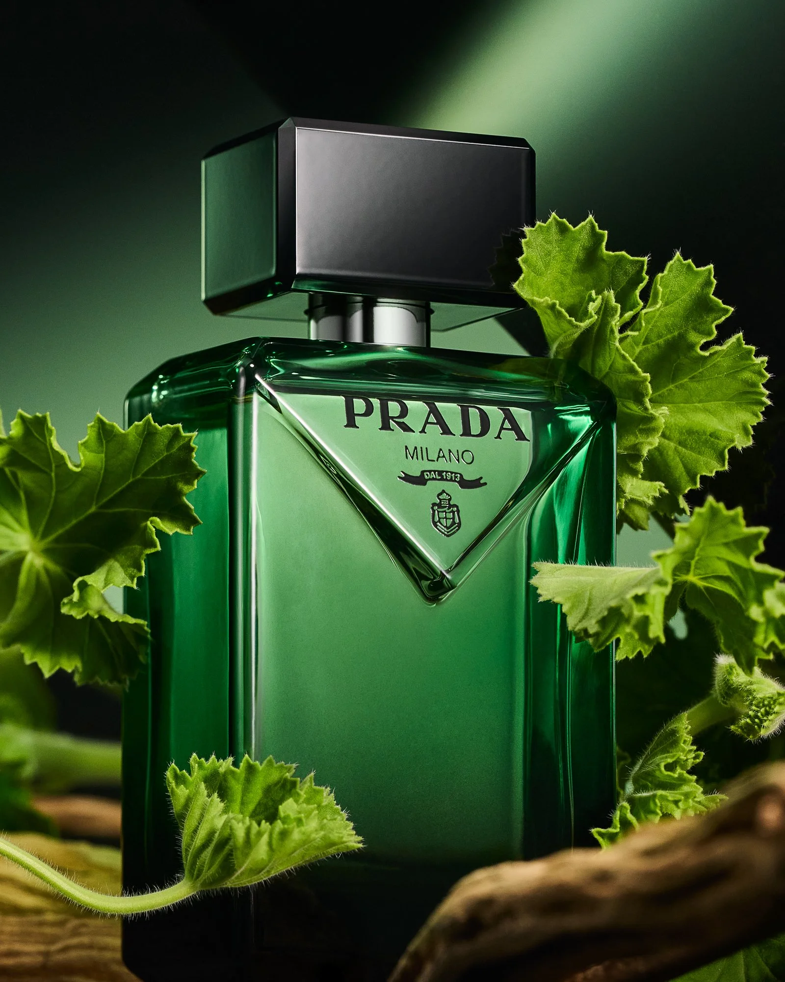 260812 Fragrance Prada.jpg