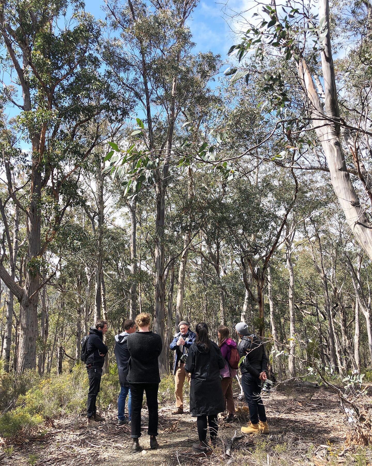 IP Field Notes 
Last week our practice attended a guided walk on kunanyi (Mt Wellington) with Dr Rob Wiltshire from the UTAS School of Biological Sciences. As we wandered through the varying vegetation communities Rob shared his knowledge, experience