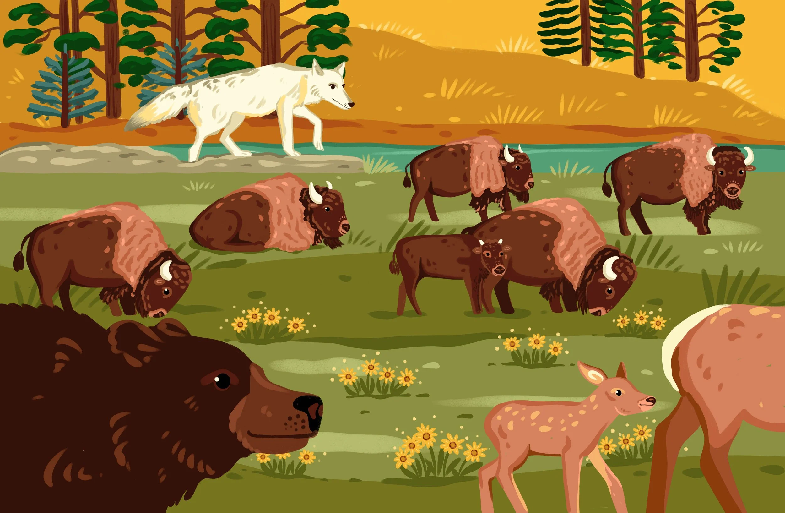 Yellowstone_3.jpg