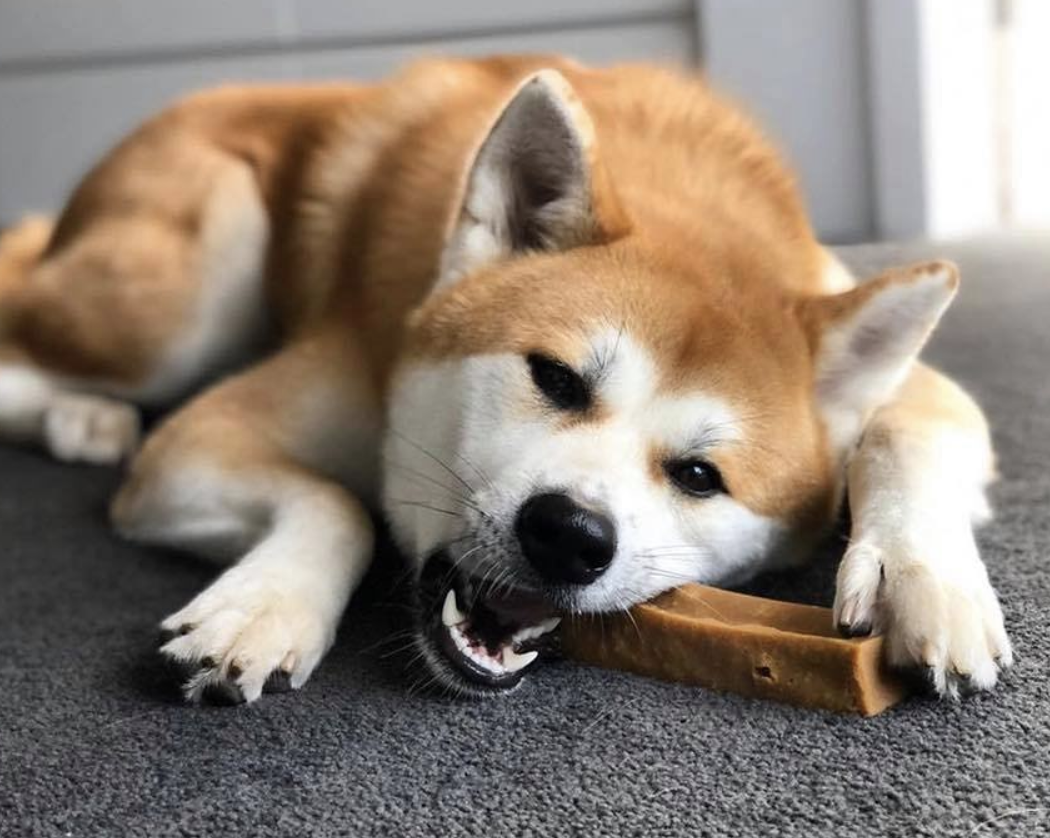himalayan dog chew reddit