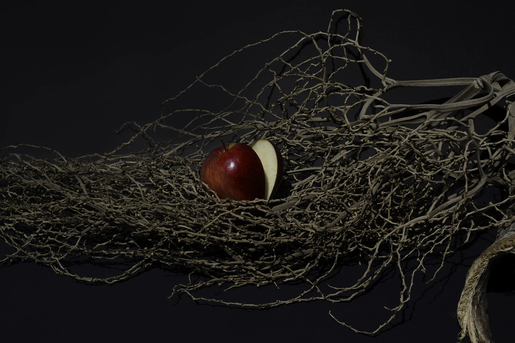 0-0appleTHUMBNAIL1.jpg