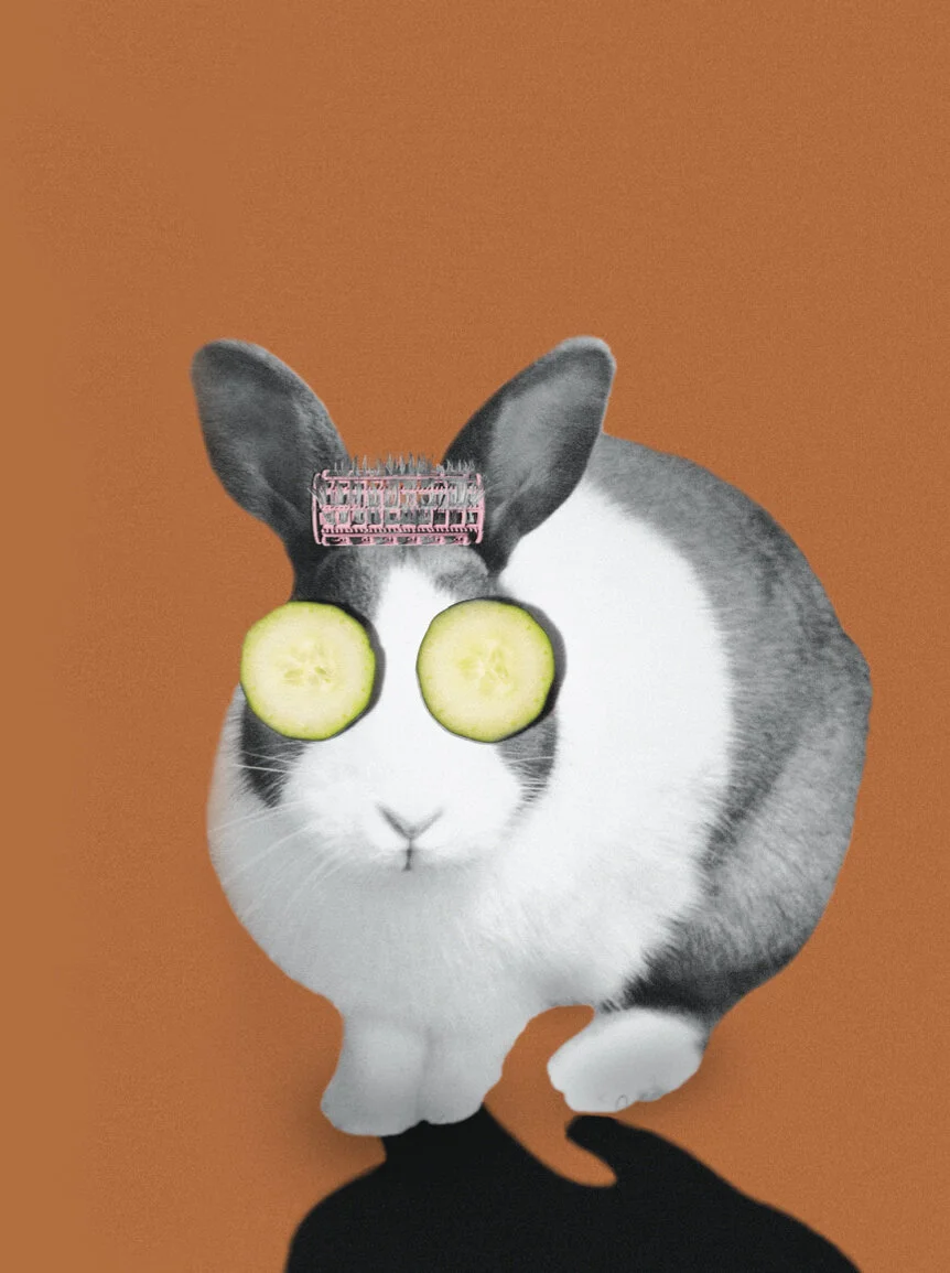 Editorial illustrations.