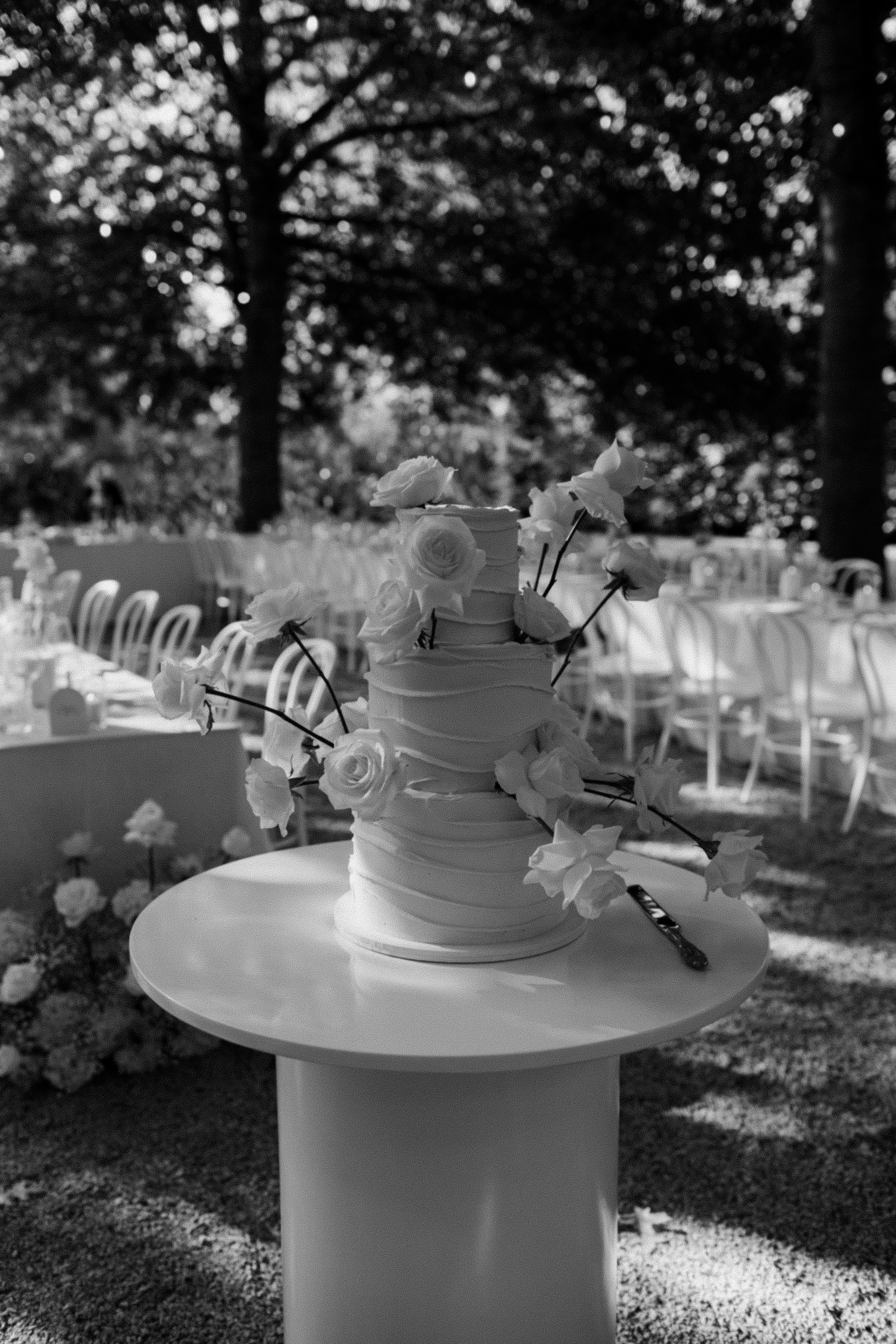 R6II8105.jpg