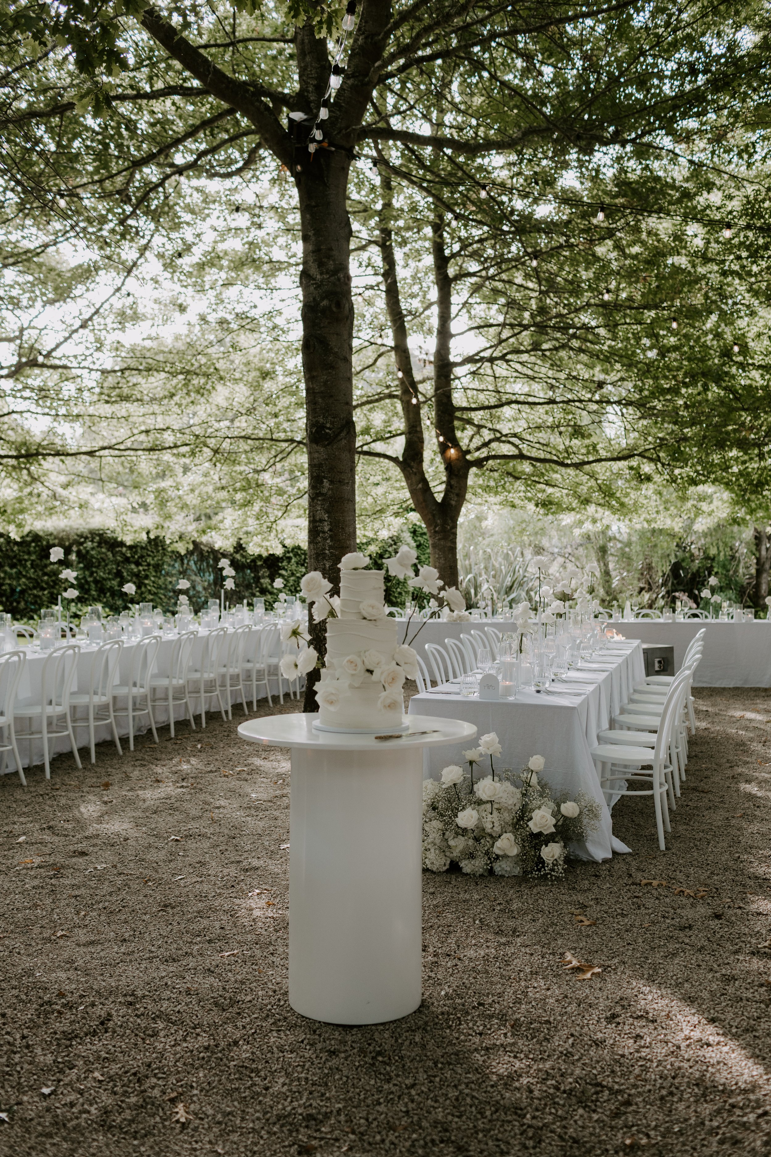R6II8152.jpg