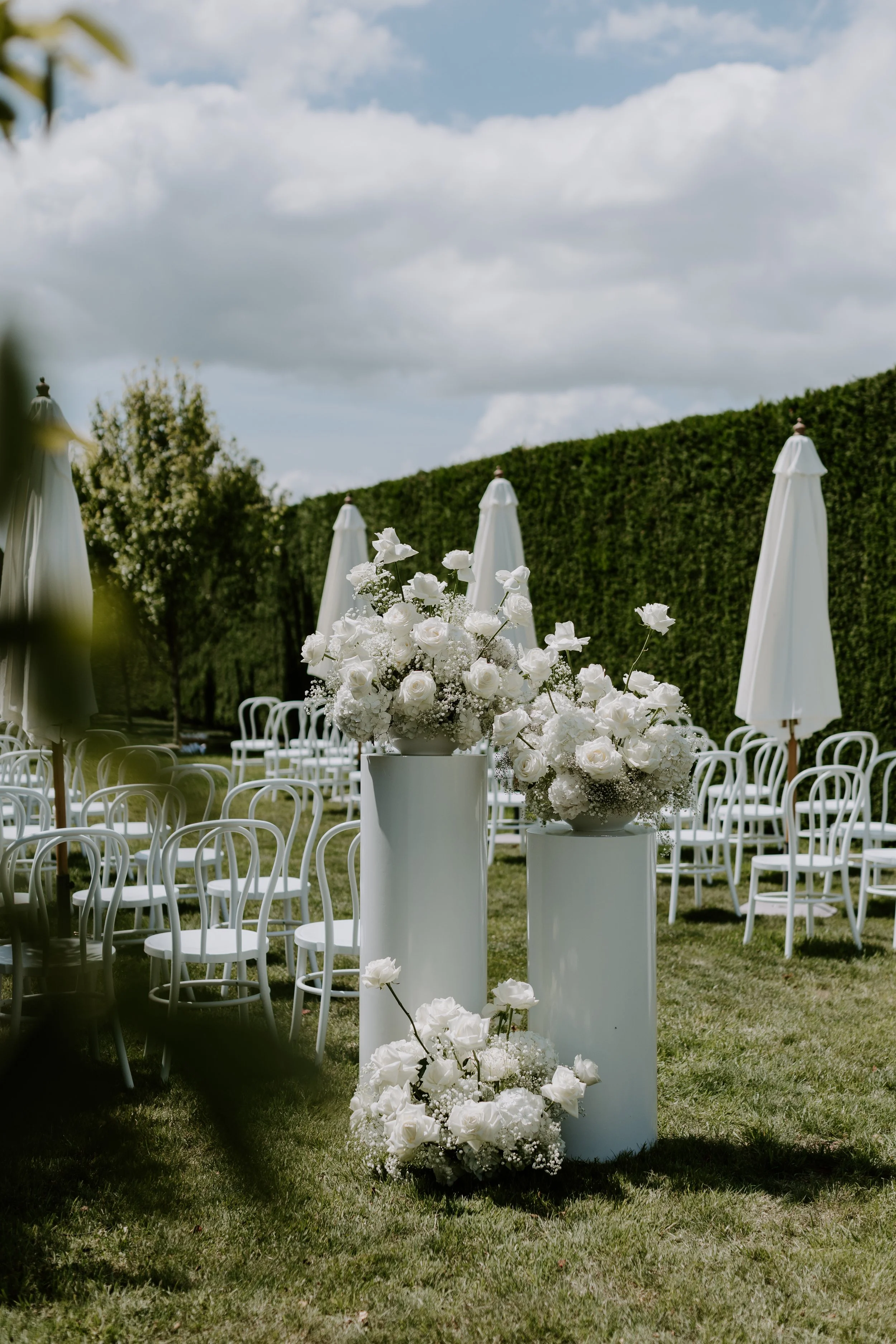 R6II6479.jpg