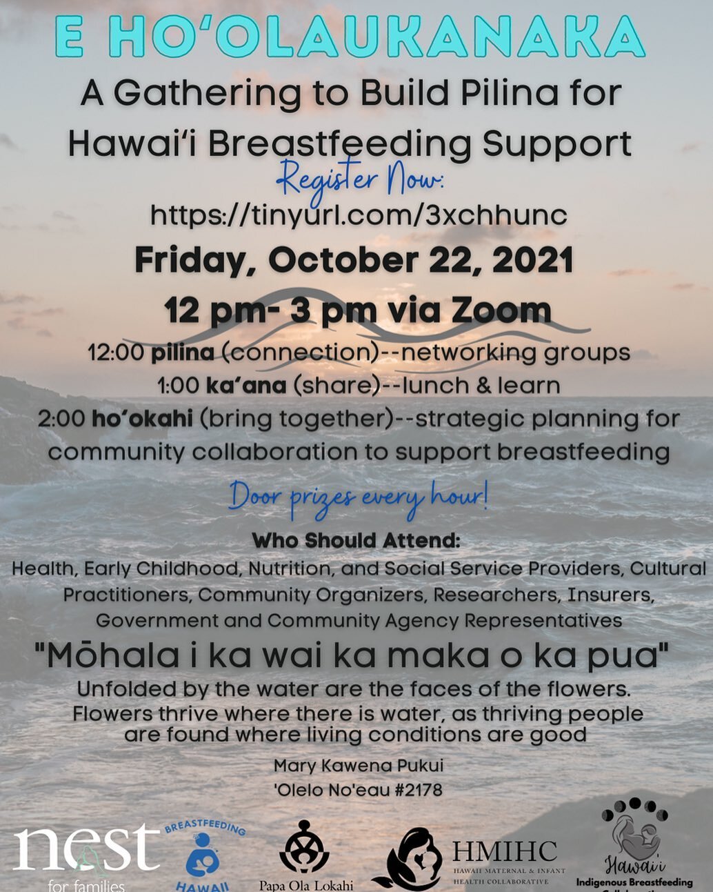 Do you play a role in supporting breastfeeding within the State of Hawaiʻi? Please join us to gather (virtually) and collectively build the circle of support for breast/chest feeding families in Hawai&rsquo;i this Friday, from 12pm-3. Come on wheneve