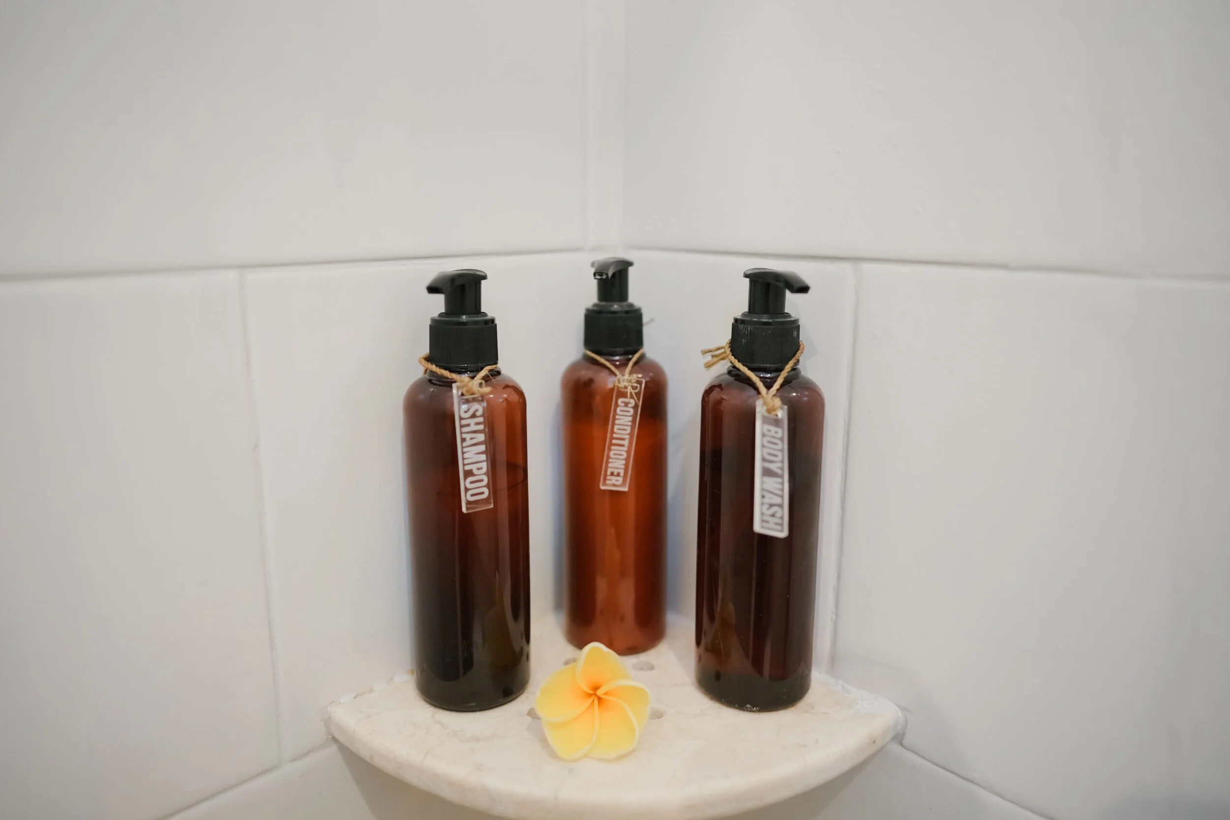 Organic-Amenities-scaled.jpg