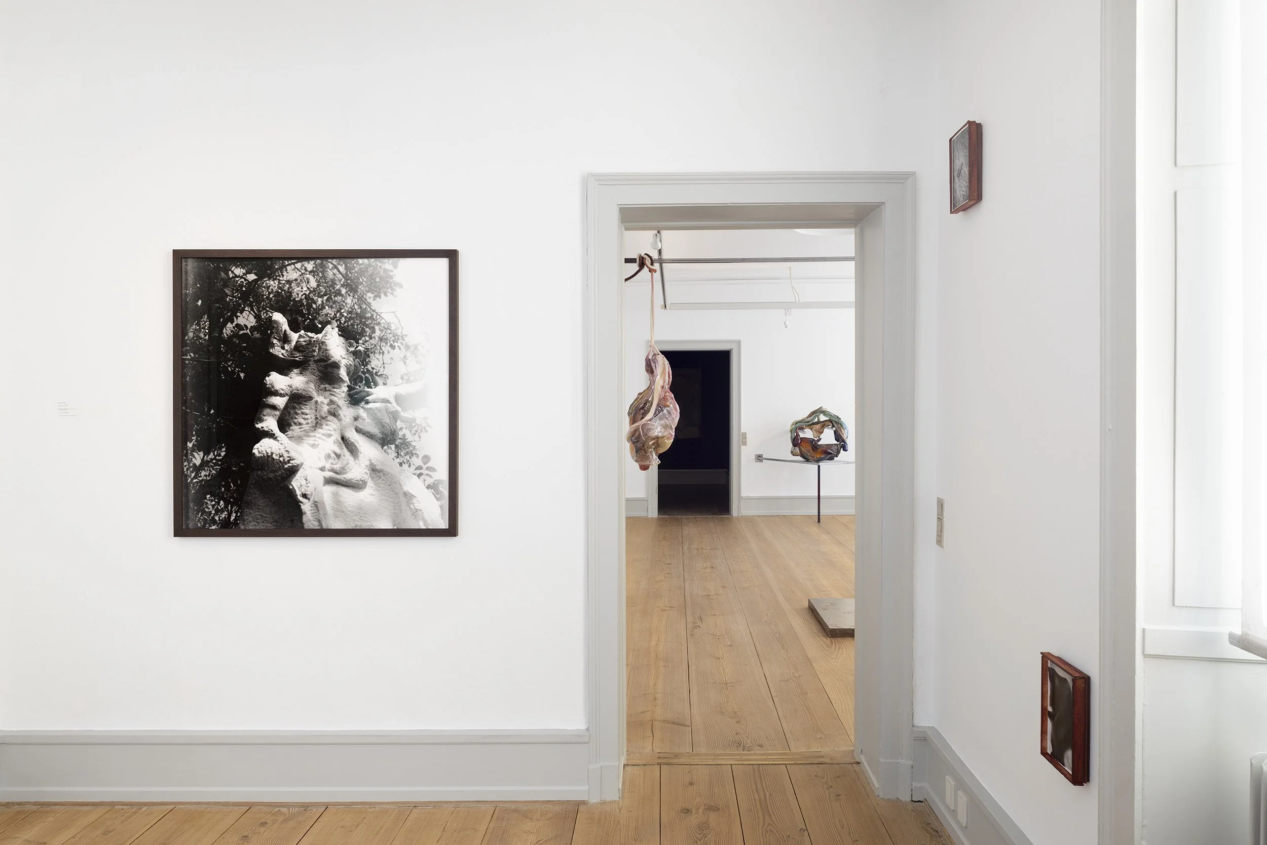 Installationsfoto (2).jpg